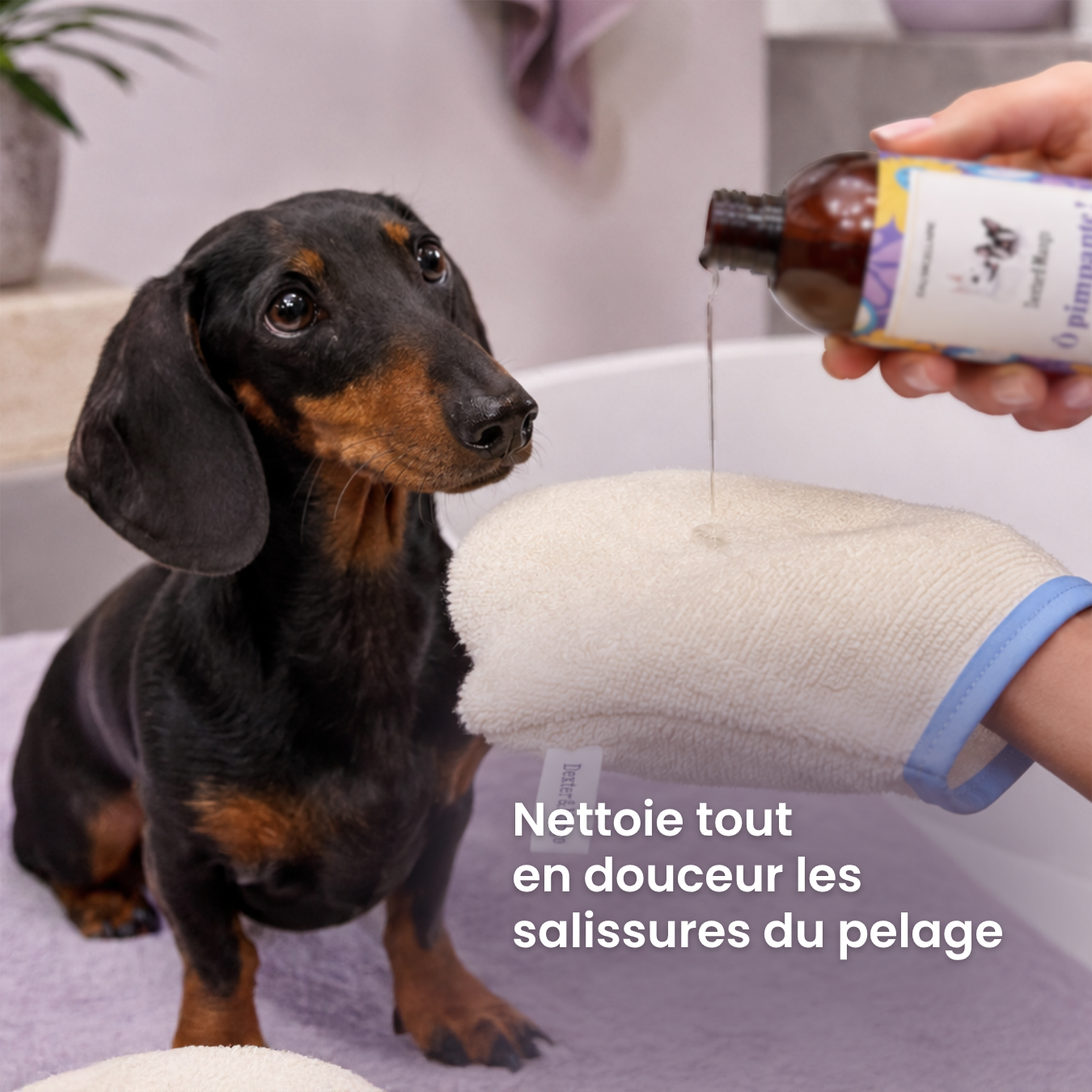 dexter-mango-gant-lavable-chien-coton-ponge-france image 2