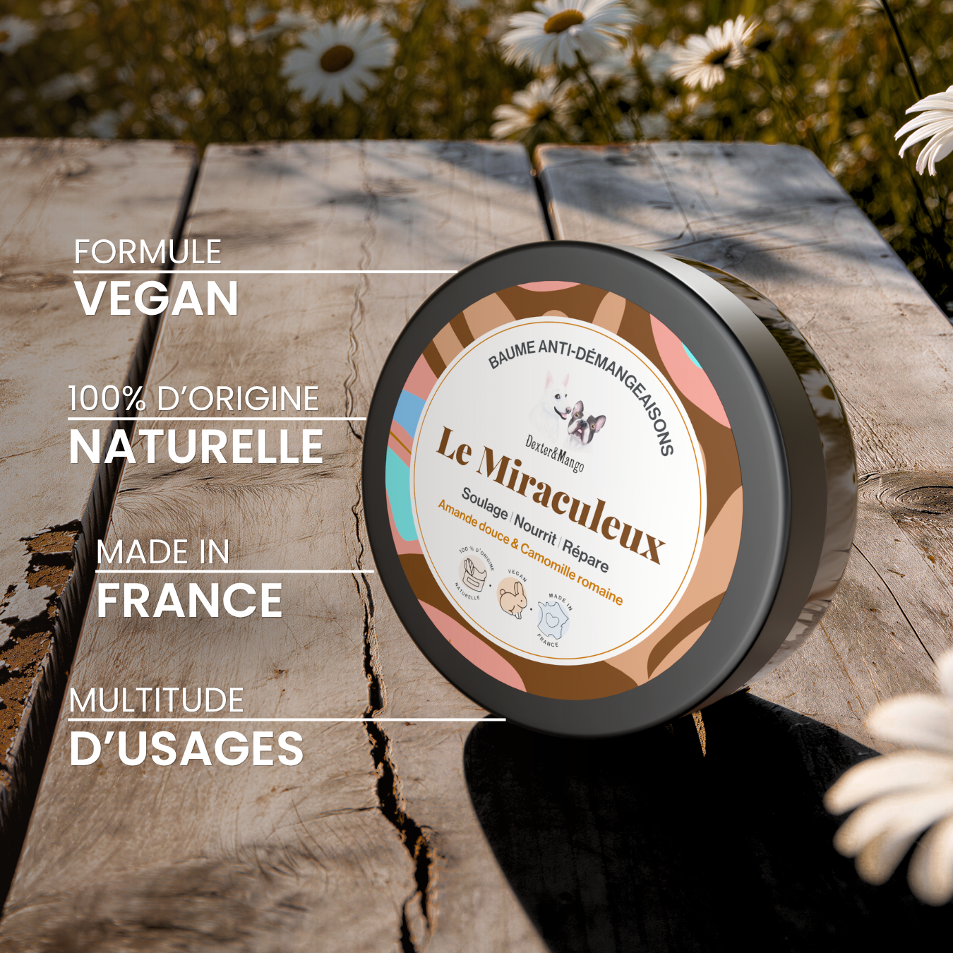 dexter-mango-le-miraculeux-baume-chien-zones-s-ches image 5