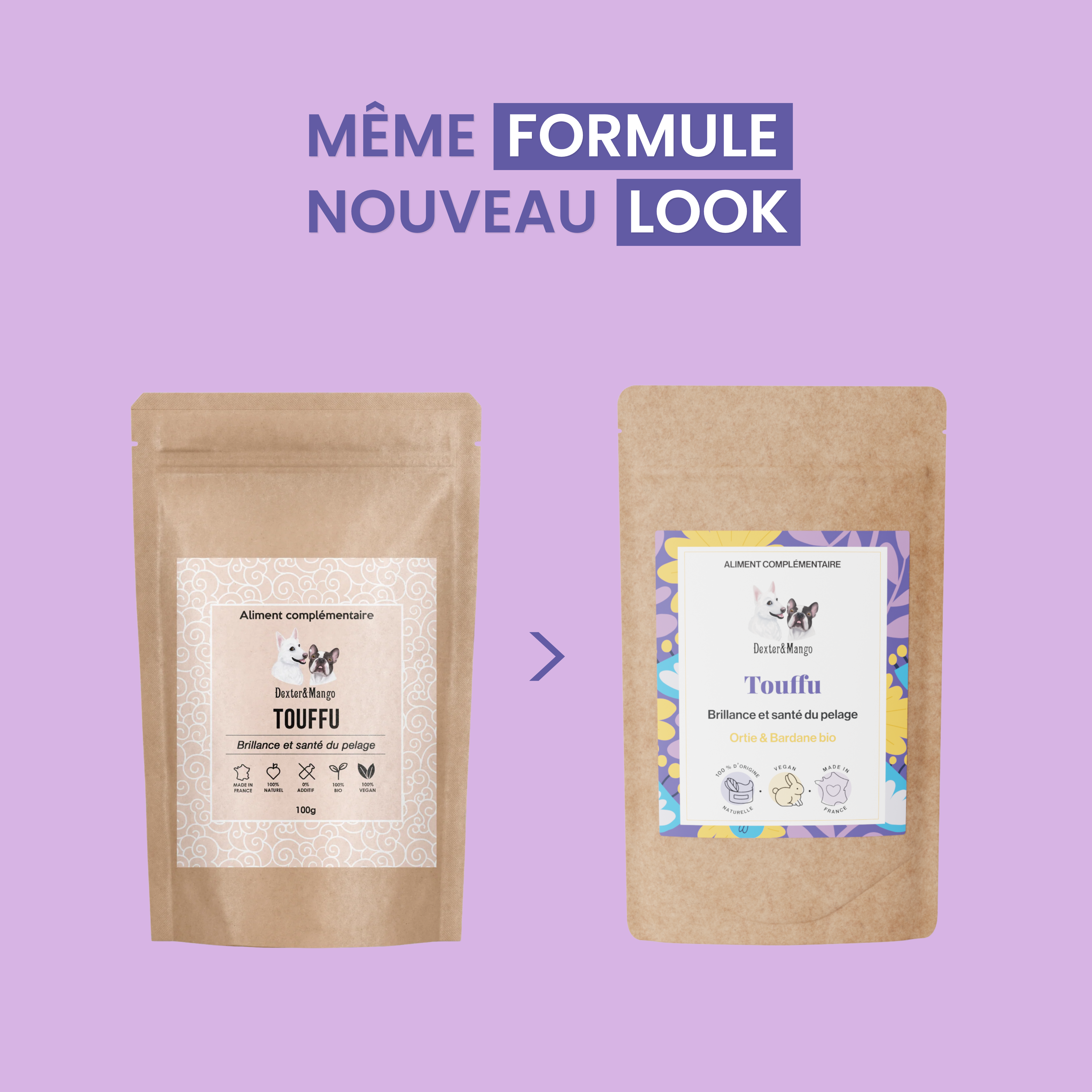 dexter-mango-touffu-compl-ment-pelage-poil-brillant image 6
