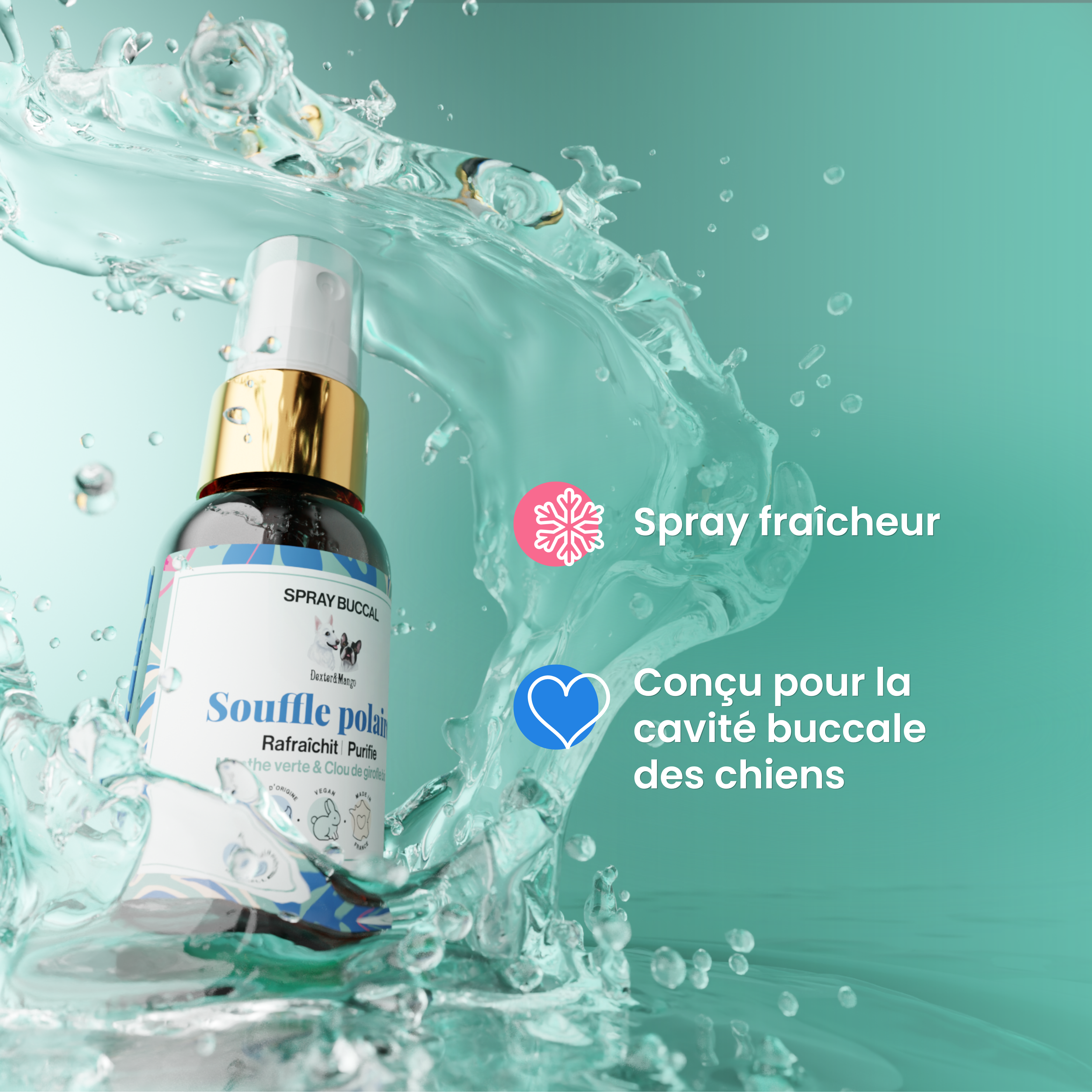 dexter-mango-souffle-polaire-spray-buccal-chien-haleine-fra-che image 4