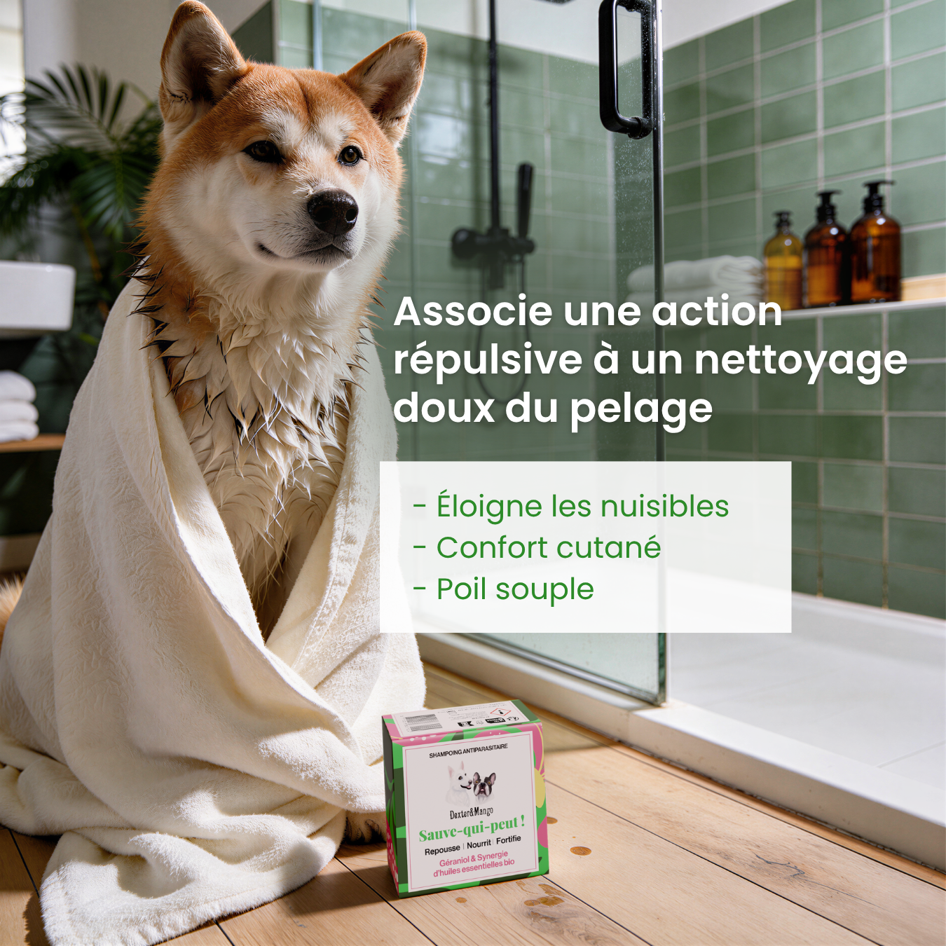 dexter-mango-sauve-qui-peut-shampoing-antiparasitaire-chien image 2