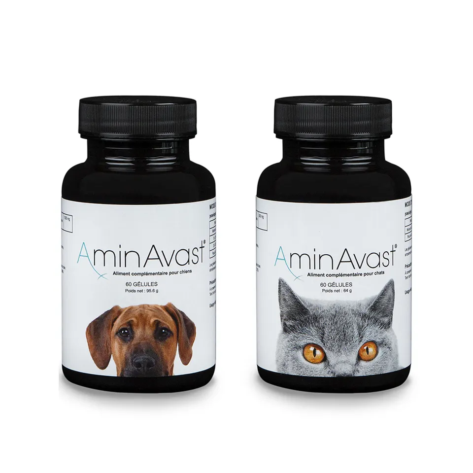 arcanatura-aminavast-compl-ment-r-nal-chien-senior image 1