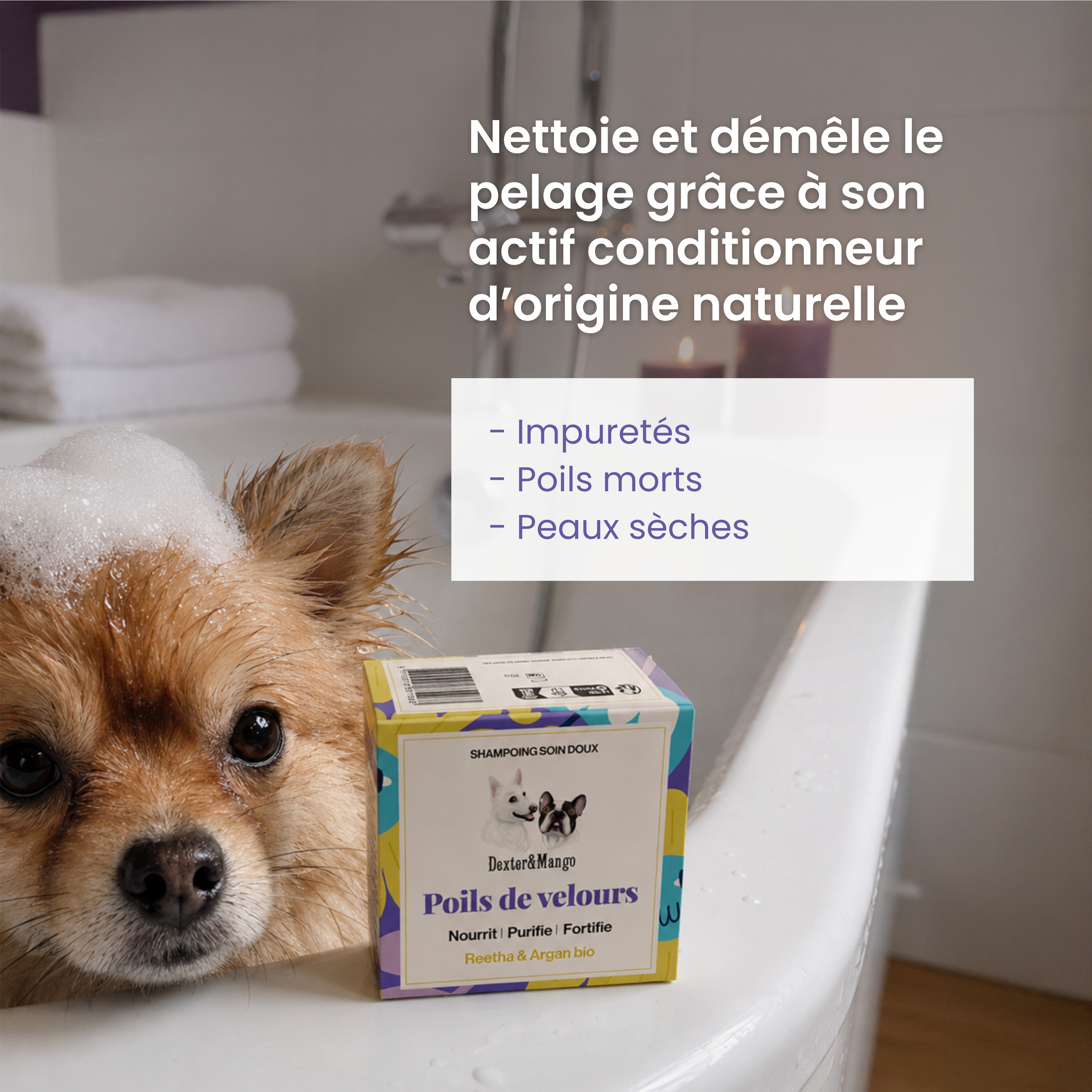 dexter-mango-poils-de-velours-shampoing-solide-chien-doux image 2