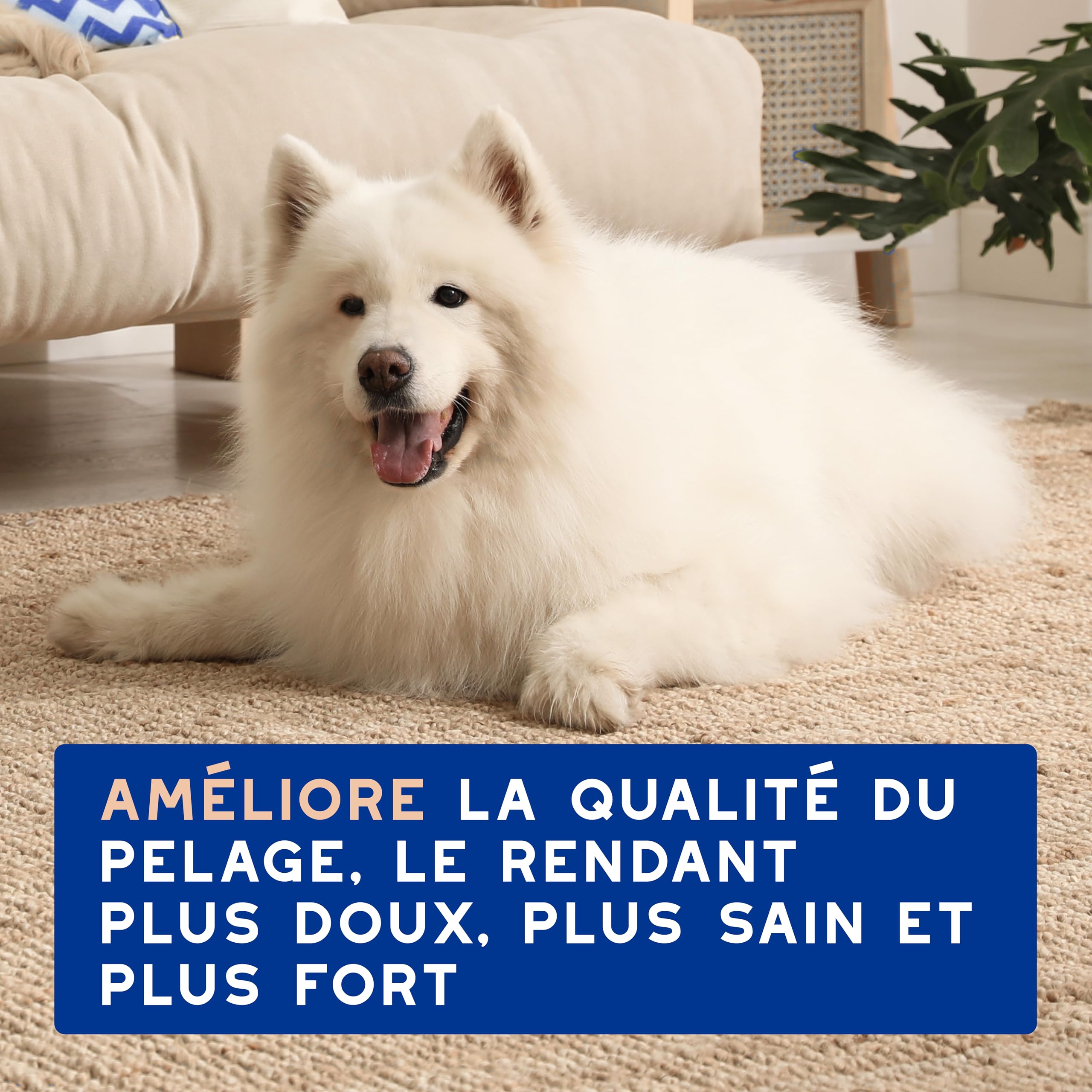 douxo-spa-skin-coat-shampoing-chien-anti-chute-poils image 7