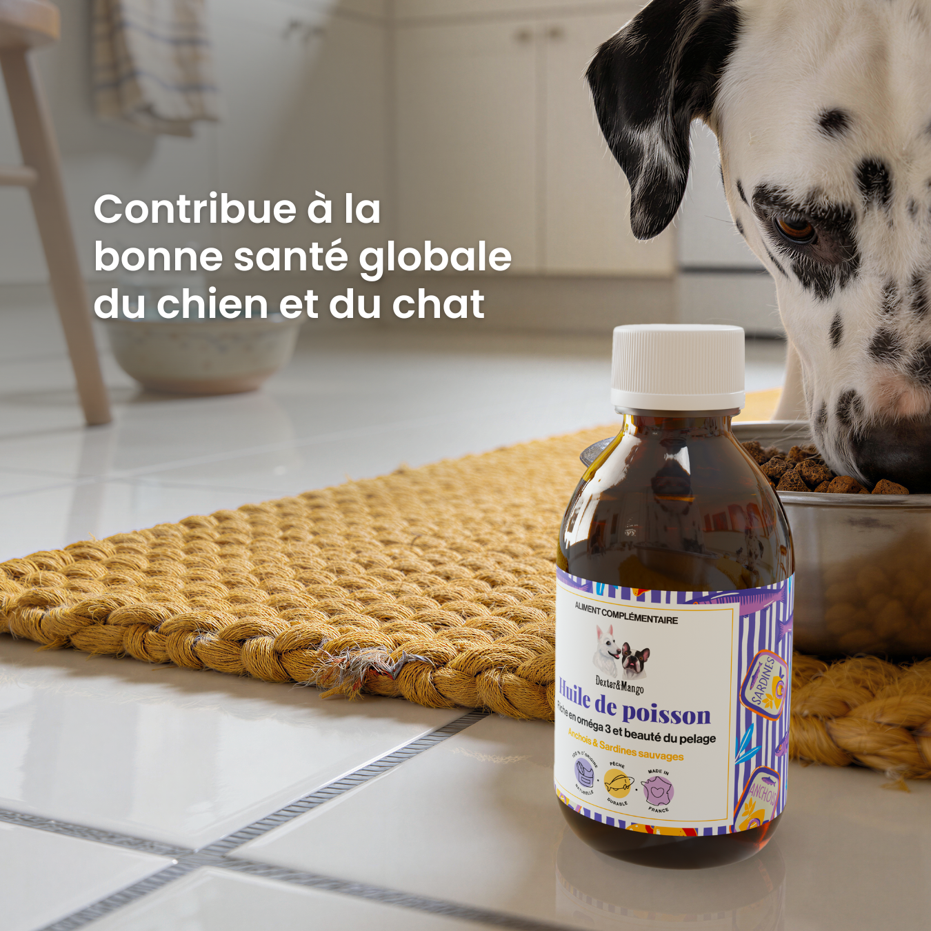 dexter-mango-huile-de-poisson-chien-chat-om-ga-3-epa-dha image 2