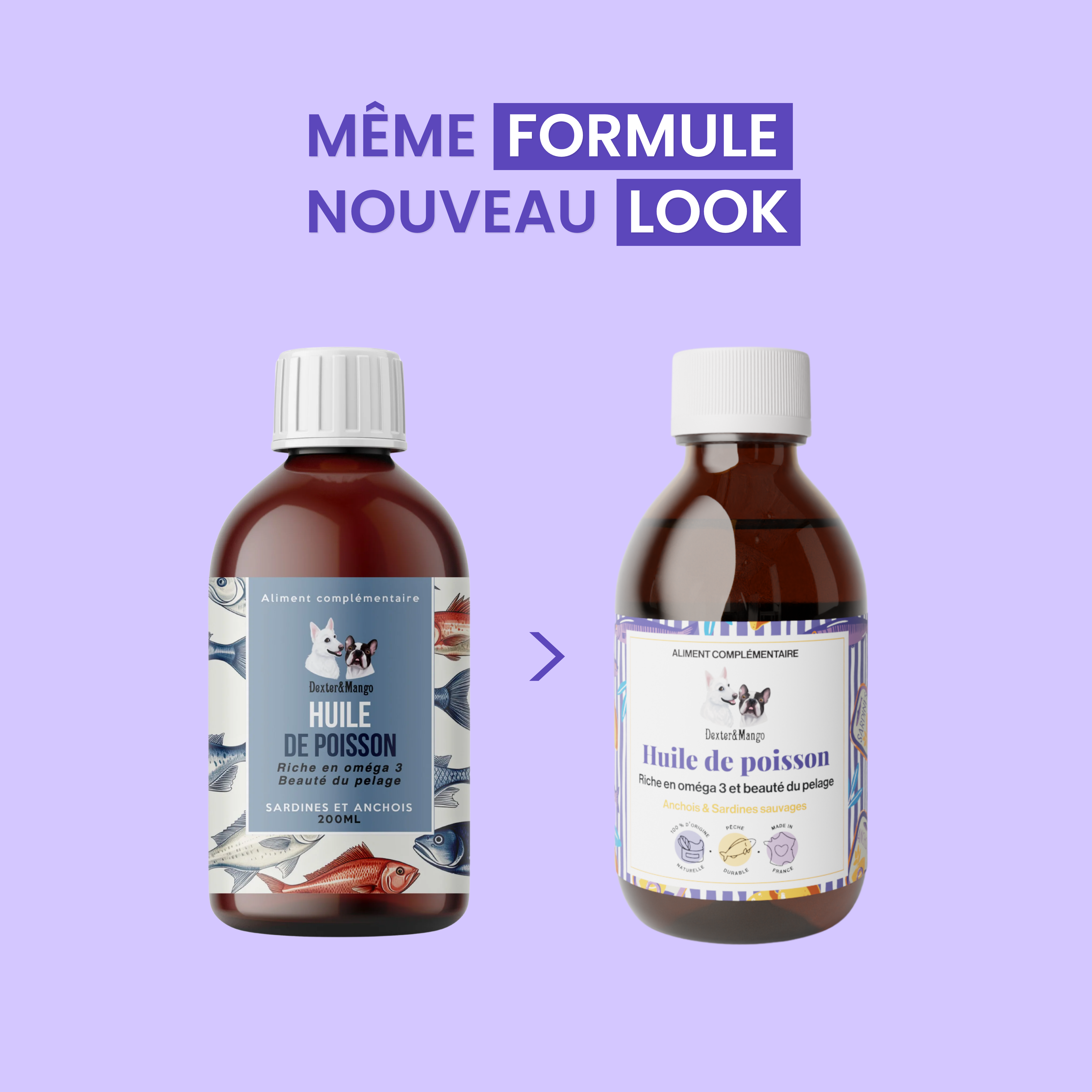 dexter-mango-huile-de-poisson-chien-chat-om-ga-3-epa-dha image 6