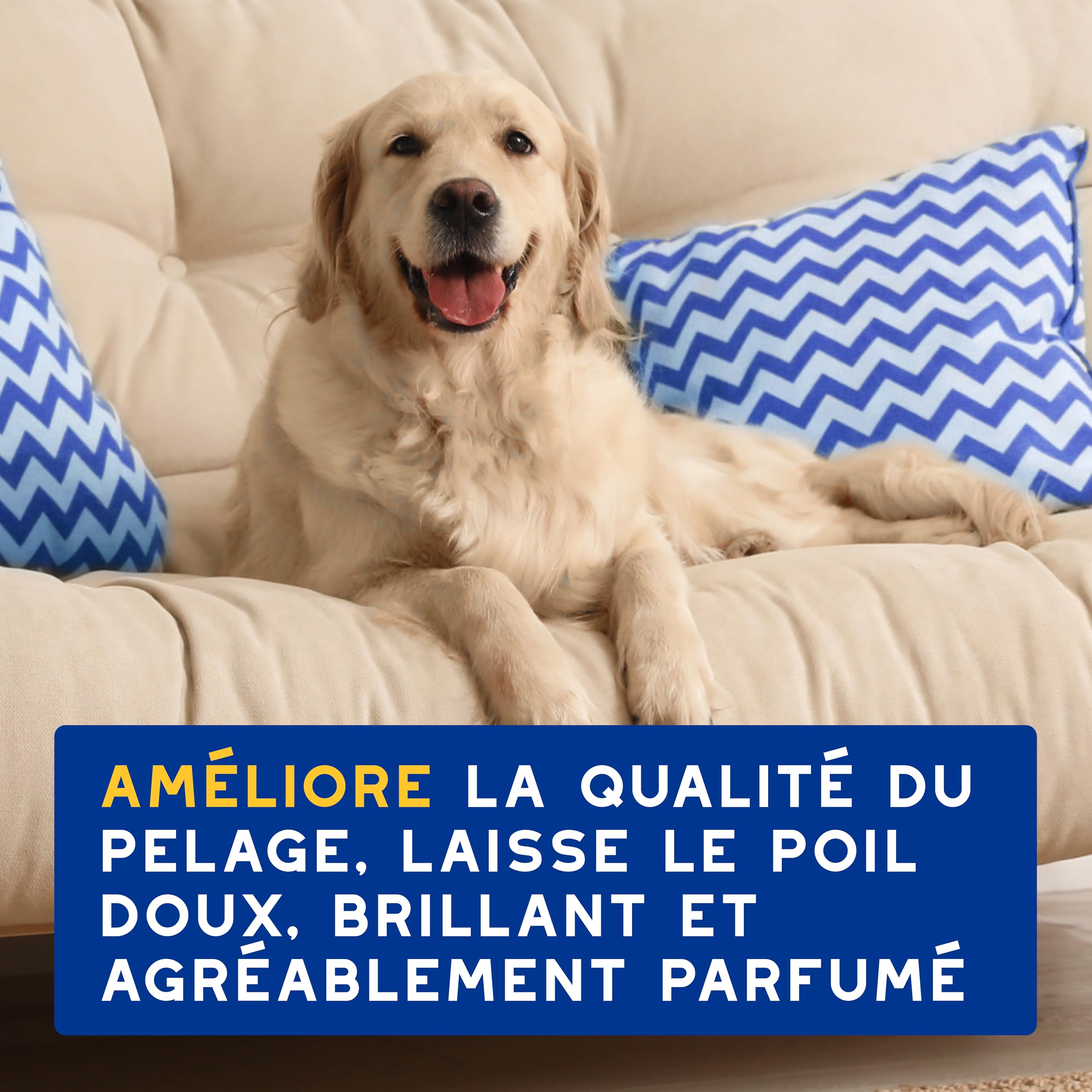 douxo-spa-skin-coat-apr-s-shampoing-chien-avoine image 7