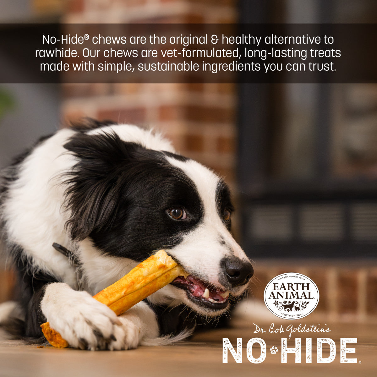 earth-animal-no-hide-grilled-cheese-rolls-friandise-s-cheddar image 5
