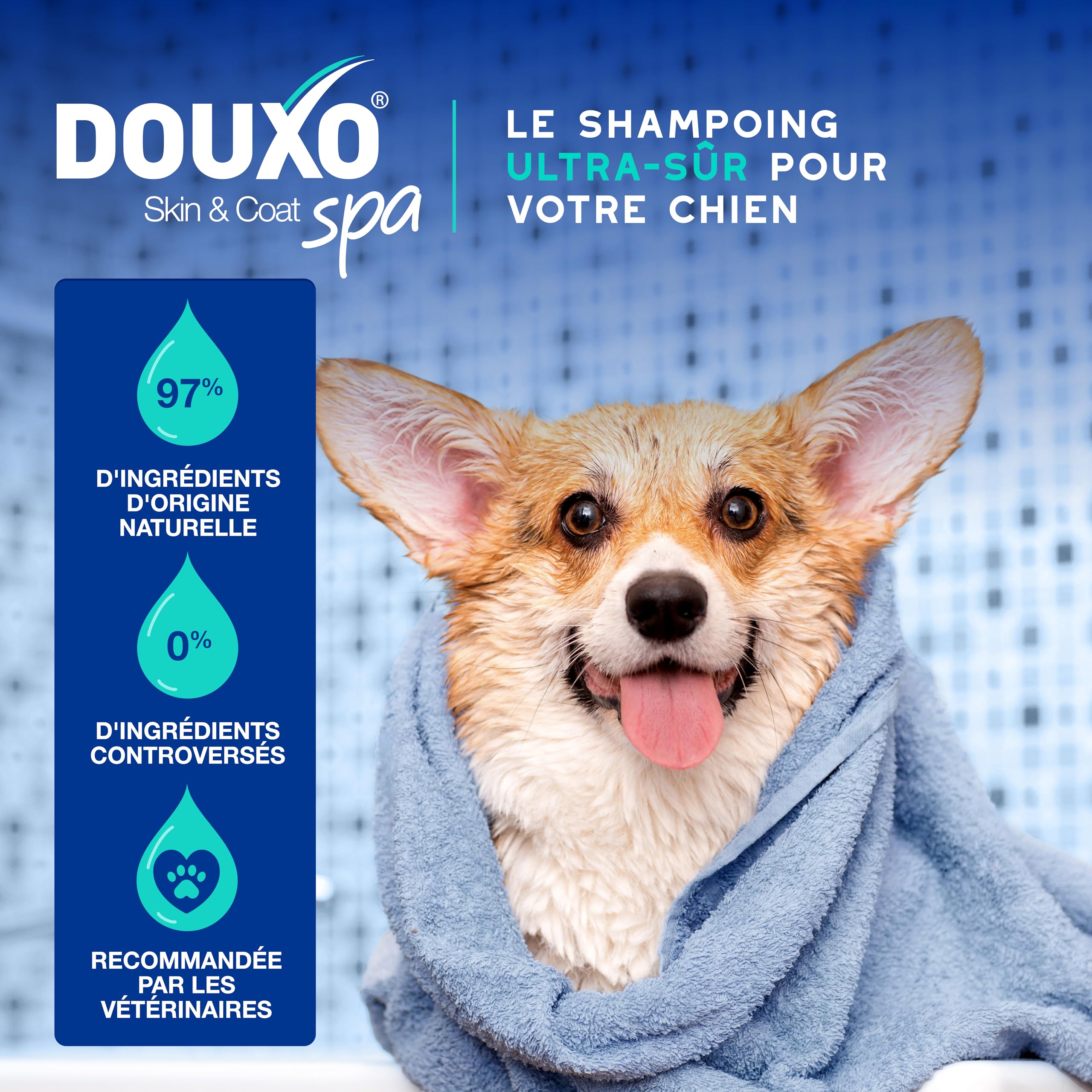 douxo-spa-skin-coat-shampooing-anti-odeurs-chien-coco-vanille image 4