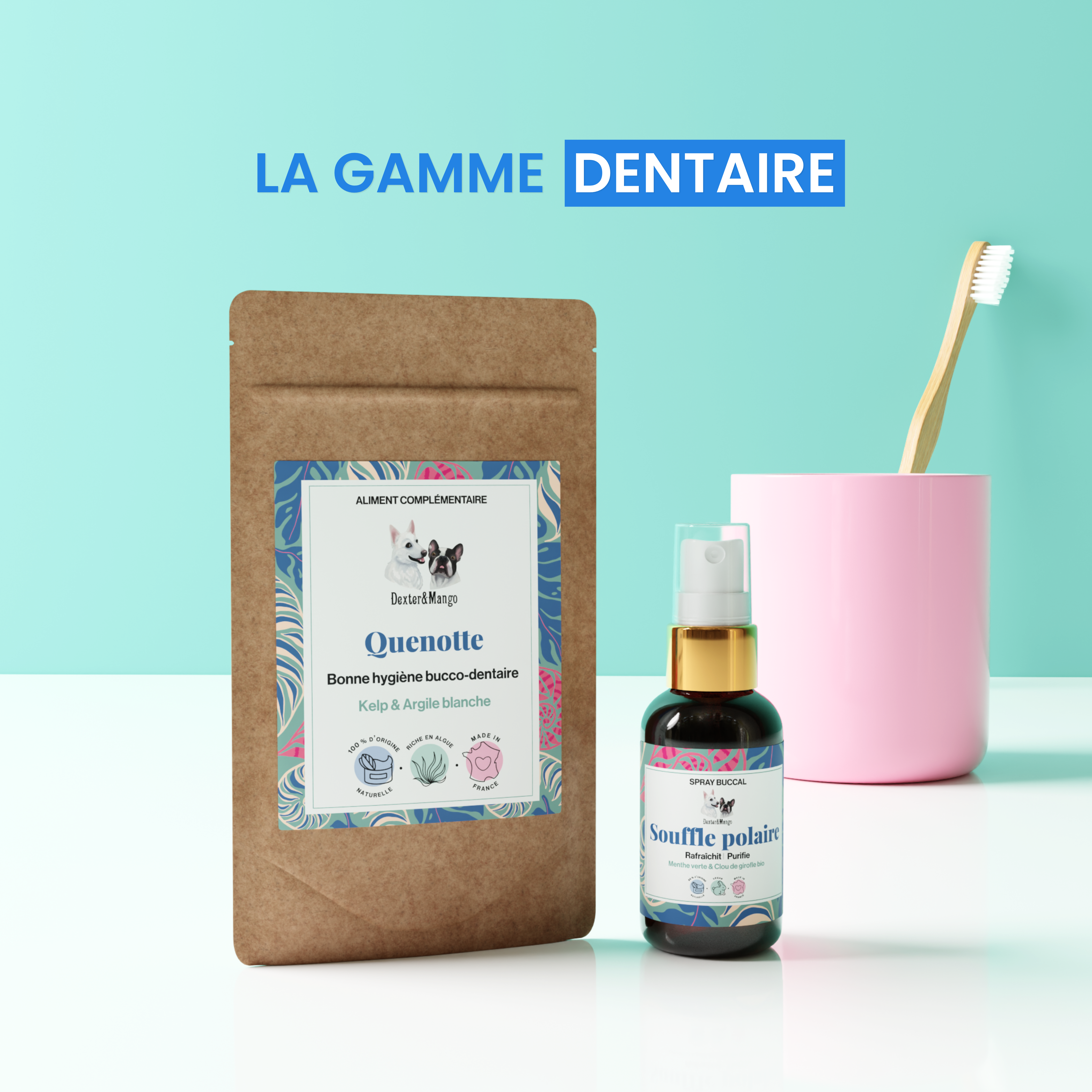 dexter-mango-quenotte-compl-ment-dentaire-chien-chat image 7