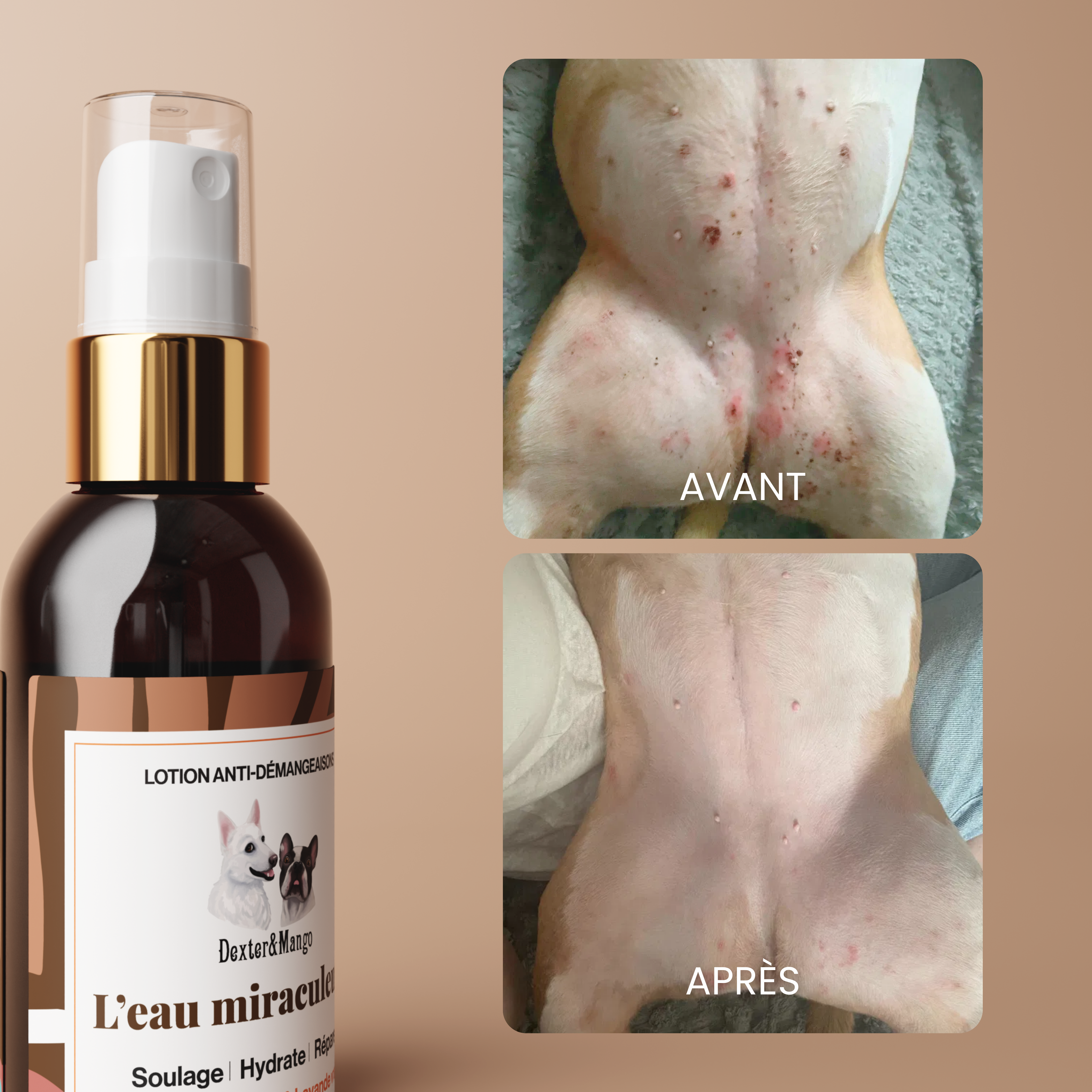 dexter-mango-eau-miraculeuse-lotion-confort-cutan-chien image 6