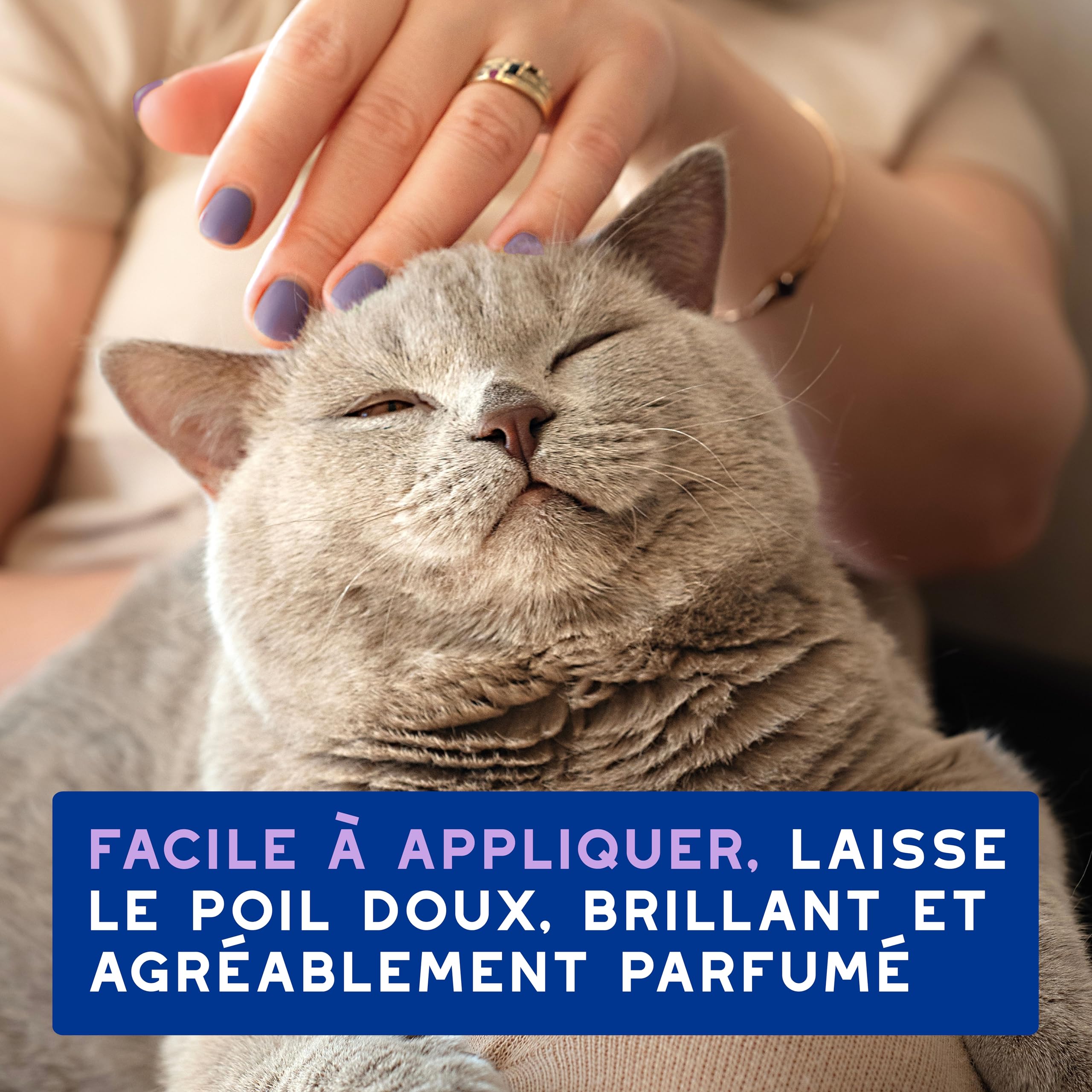 douxo-spa-skin-coat-mousse-sans-rin-age-chat-amande-douce image 7