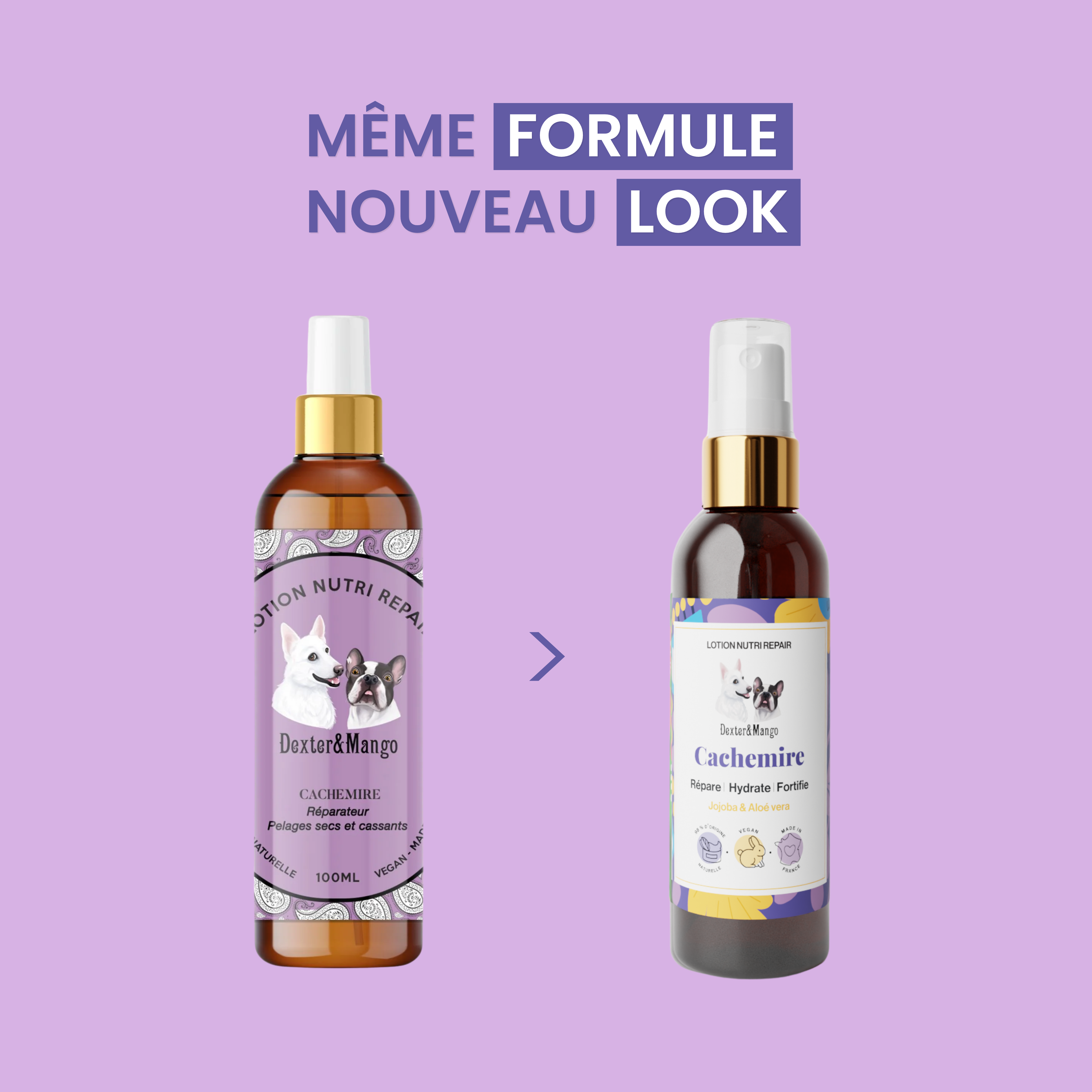 dexter-mango-cachemire-lotion-chien-nutri-repair-poils-secs image 6