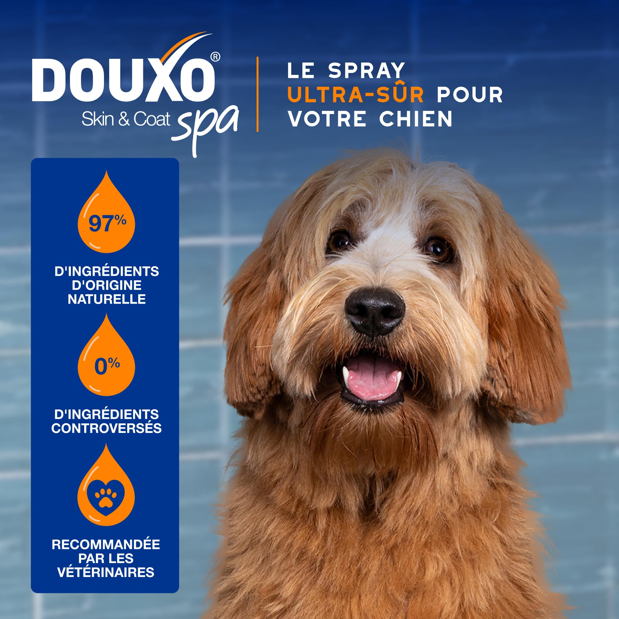 douxo-spa-skin-coat-spray-d-m-lant-chien-amande-douce-anti-n-uds image 4
