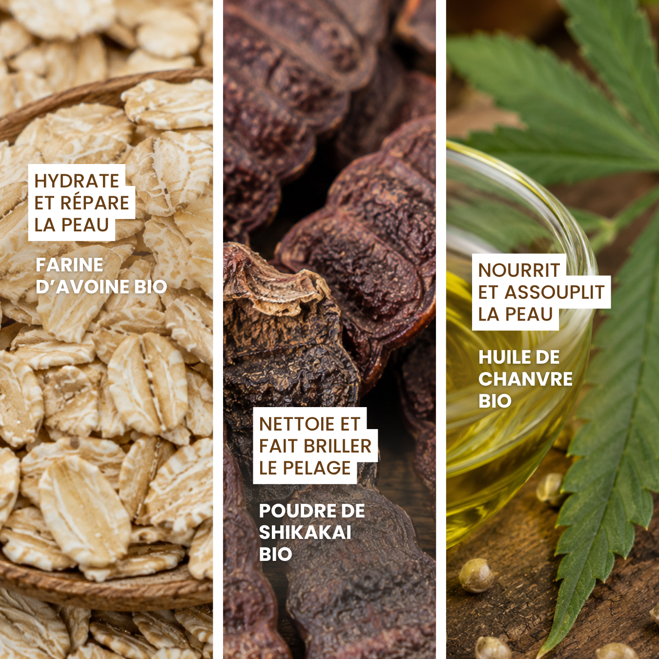 dexter-mango-le-miraculeux-shampoing-solide-chien-peaux-sensibles image 3