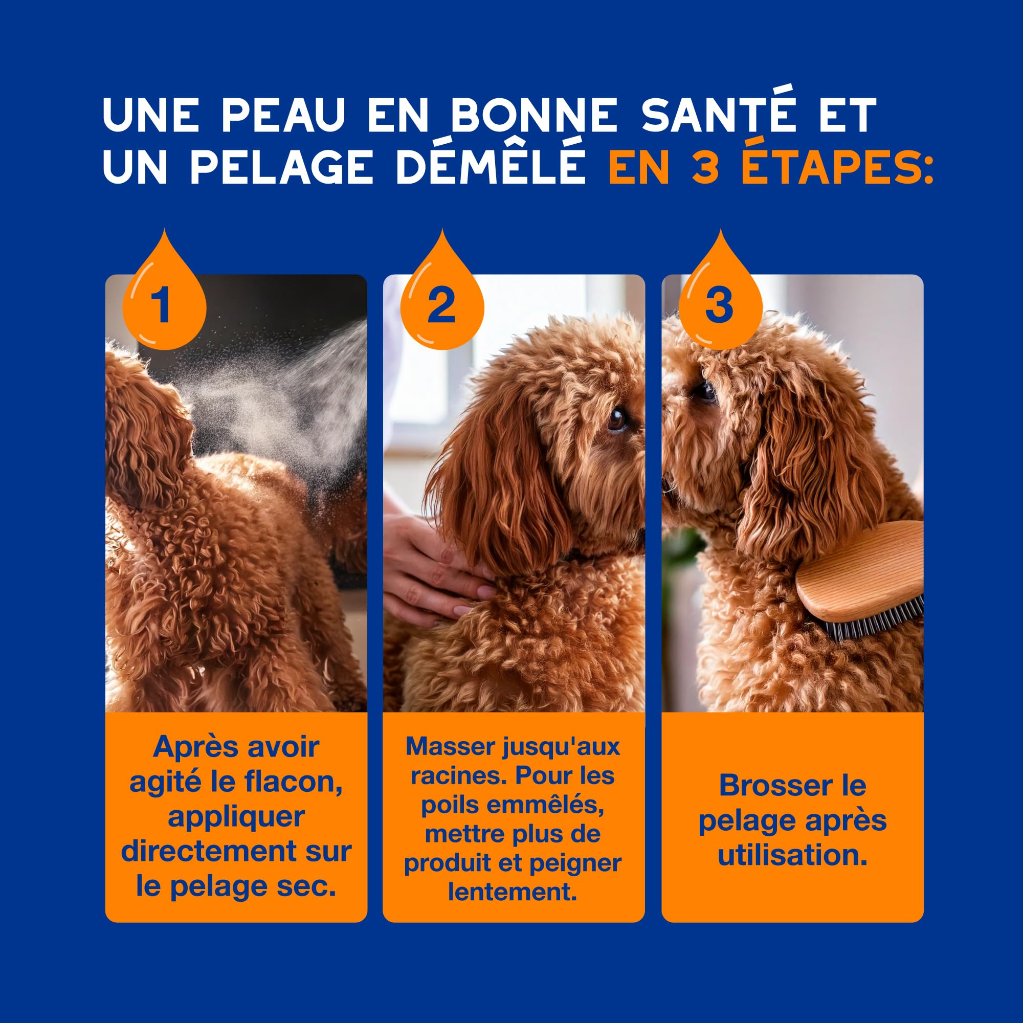 douxo-spa-skin-coat-spray-d-m-lant-chien-amande-douce-anti-n-uds image 6