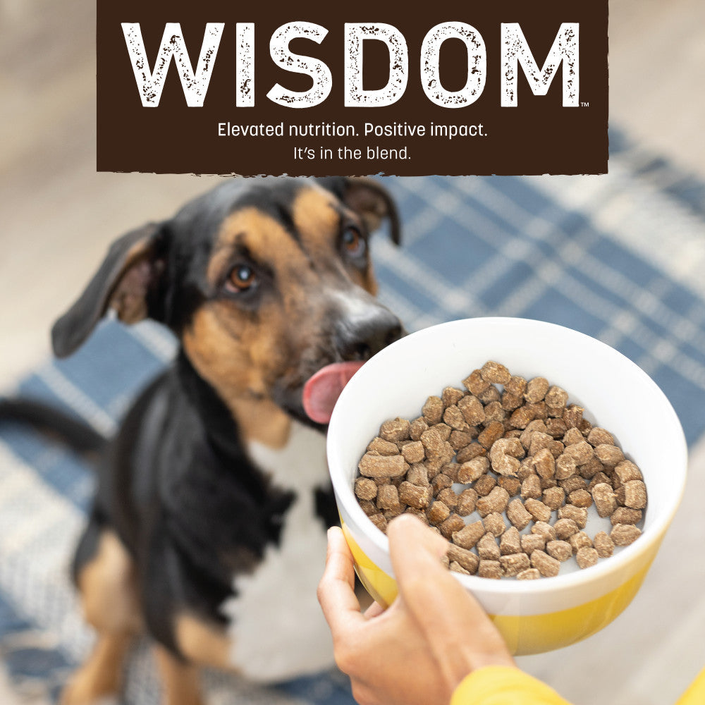 earth-animal-wisdom-croquettes-chien-dinde-s-ch-e-2-lb-prot-ine-unique image 8
