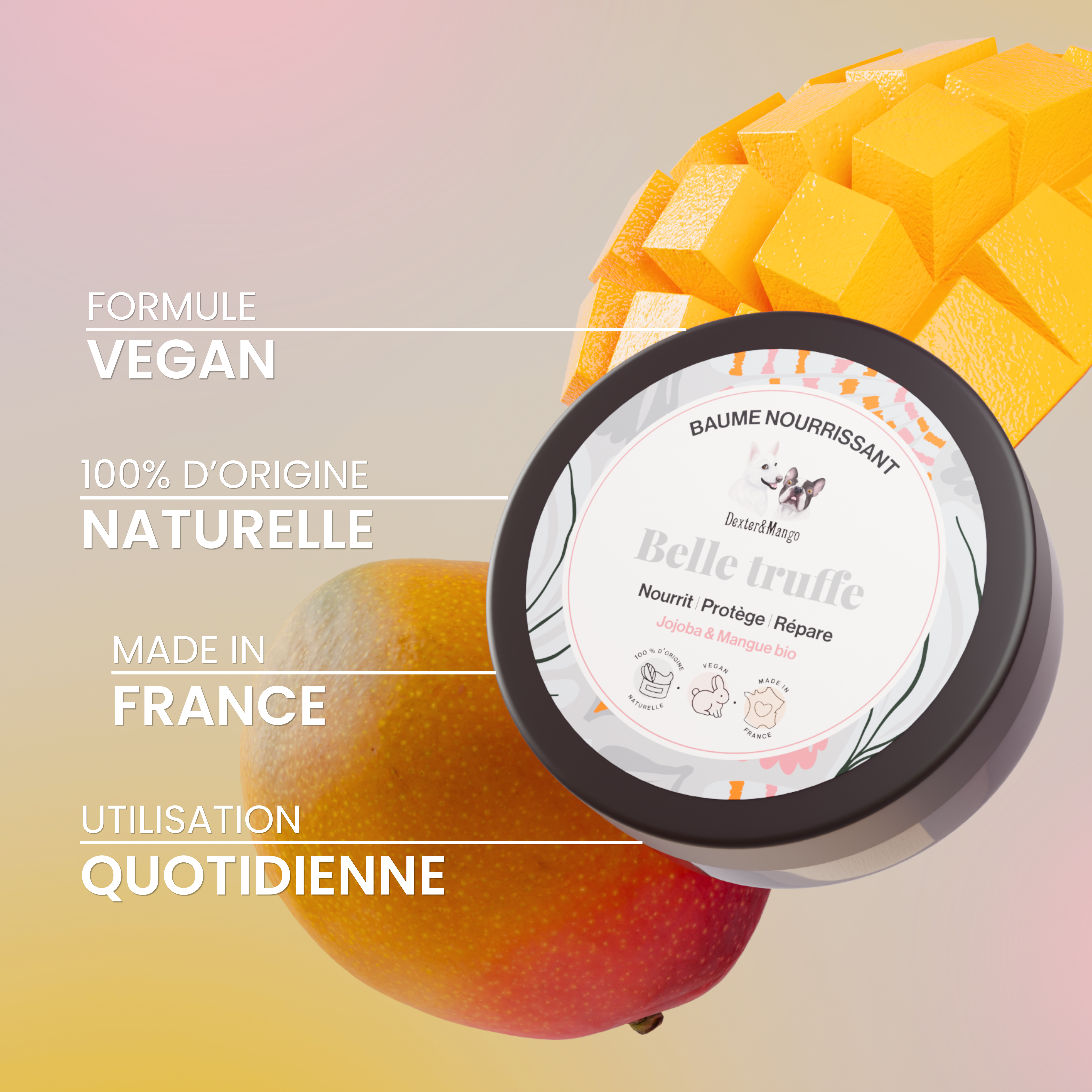 dexter-mango-belle-truffe-baume-truffe-chien-100-naturel image 5