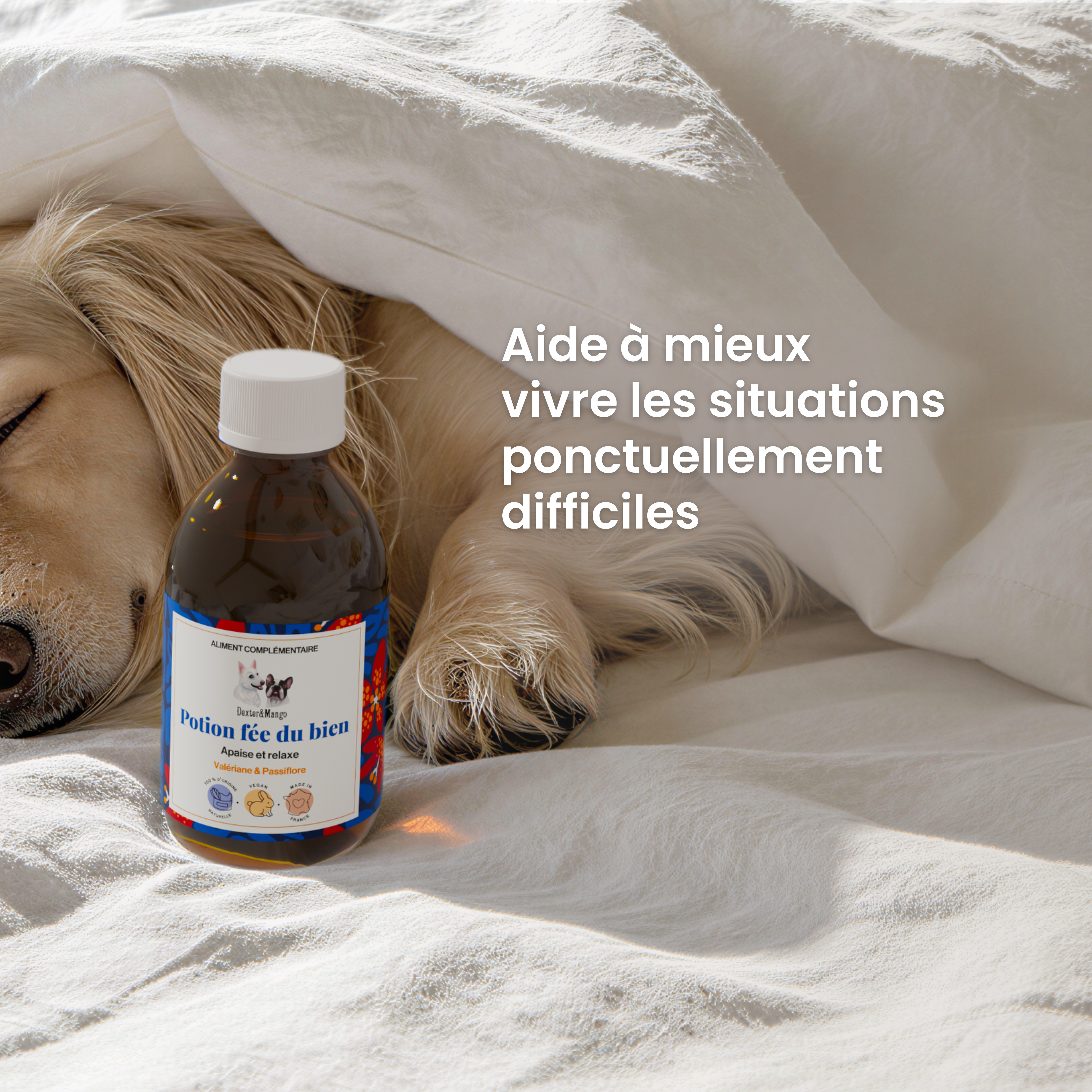 dexter-mango-potion-f-e-du-bien-compl-ment-stress-chien image 2