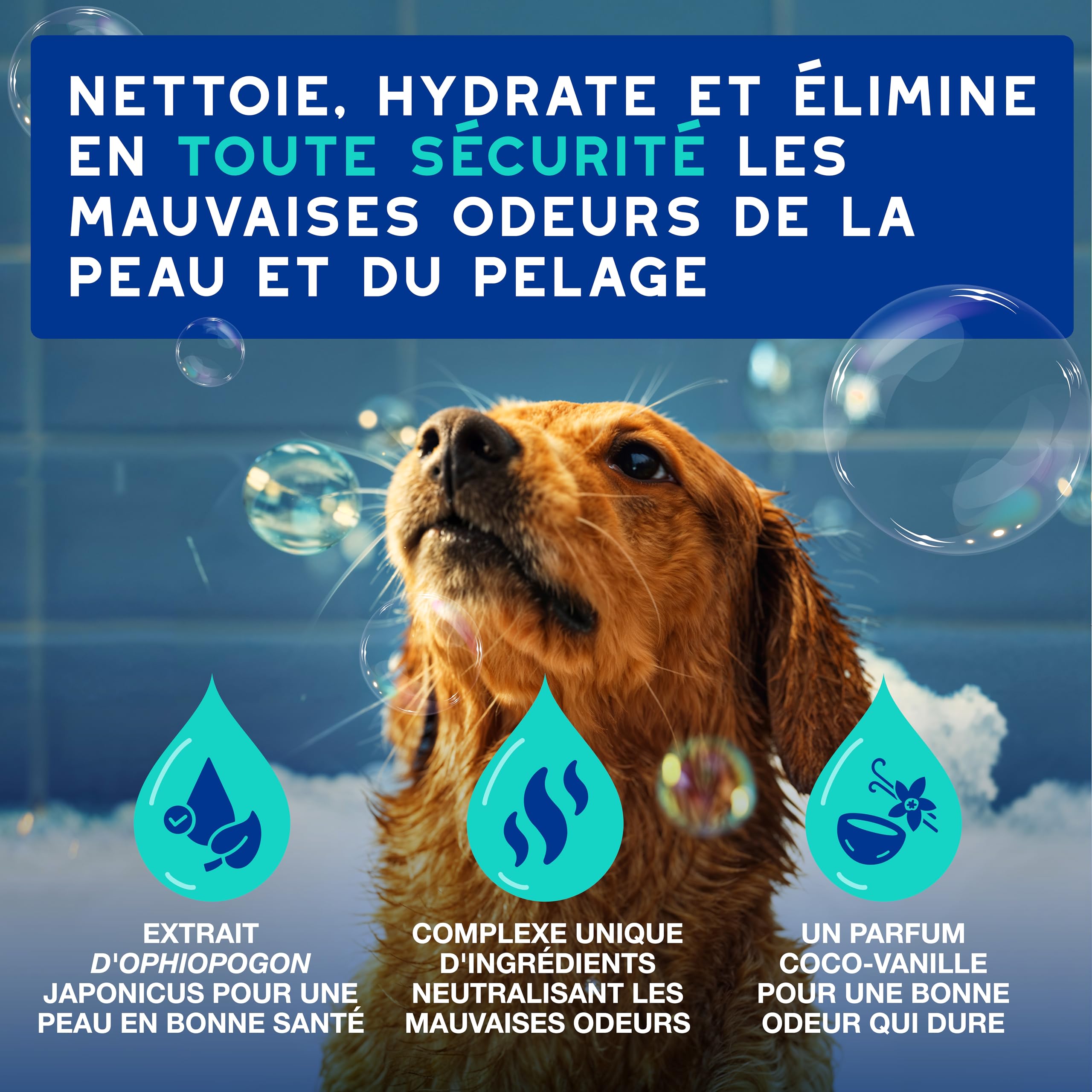 douxo-spa-skin-coat-shampooing-anti-odeurs-chien-coco-vanille image 2
