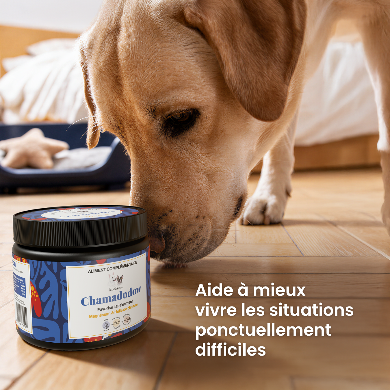 dexter-mango-chamadodow-friandises-s-r-nit-chien-magn-sium image 2