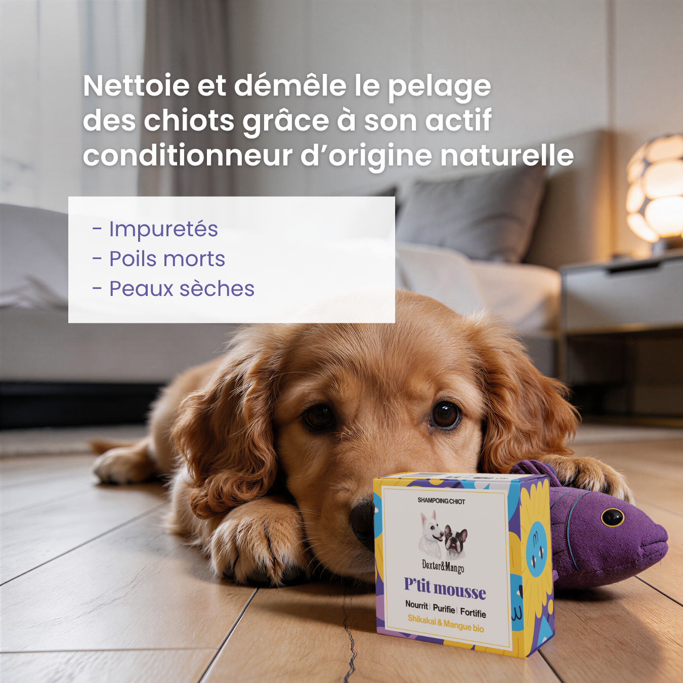 dexter-mango-p-tit-mousse-shampoing-chiot-naturel-98 image 2
