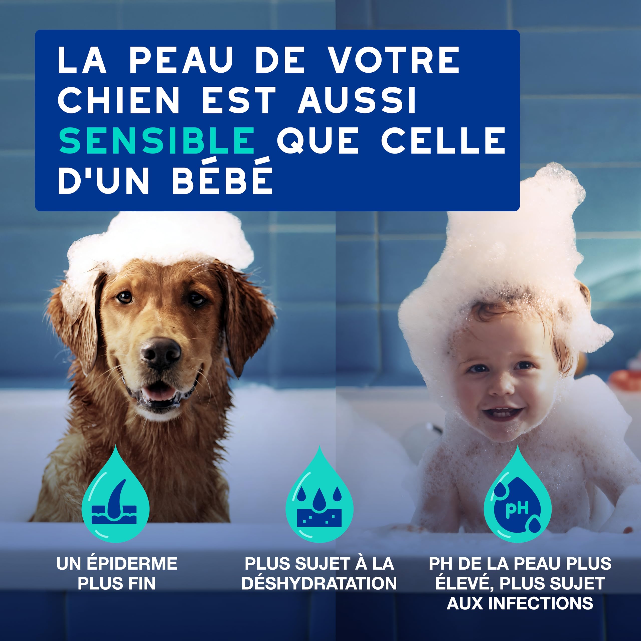 douxo-spa-skin-coat-shampooing-anti-odeurs-chien-coco-vanille image 3