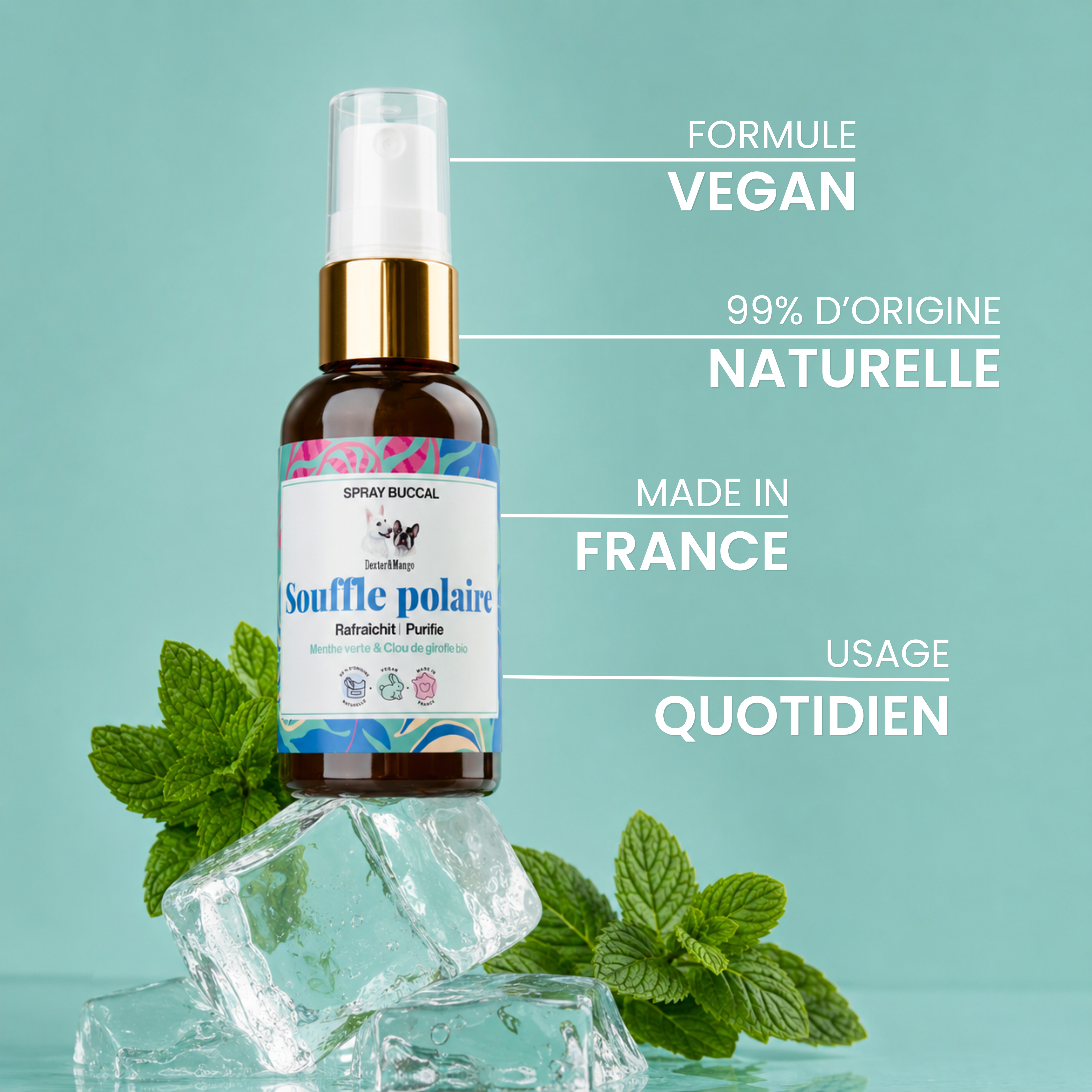 dexter-mango-souffle-polaire-spray-buccal-chien-haleine-fra-che image 5