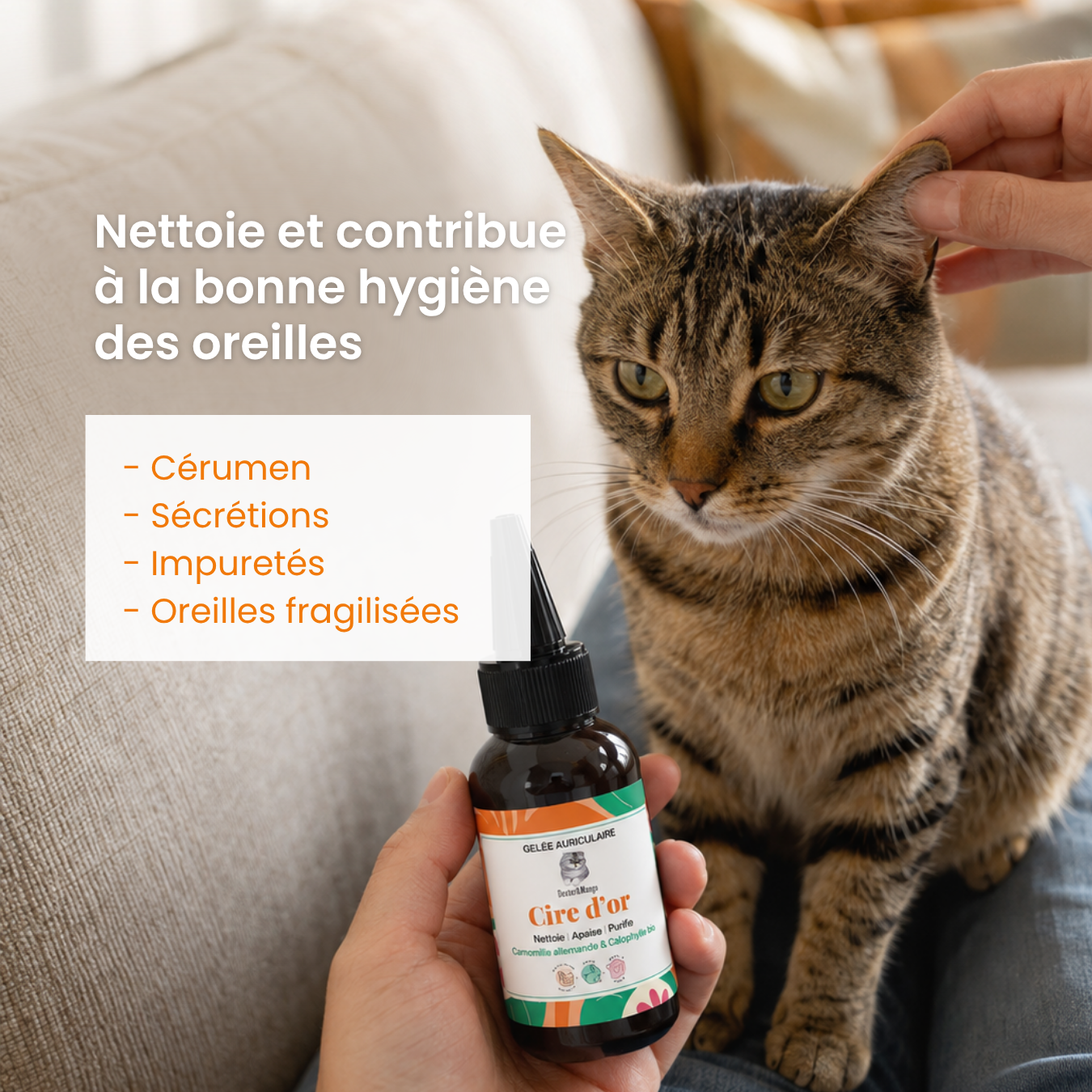 dexter-mango-cire-d-or-gel-e-auriculaire-chat-naturelle image 2