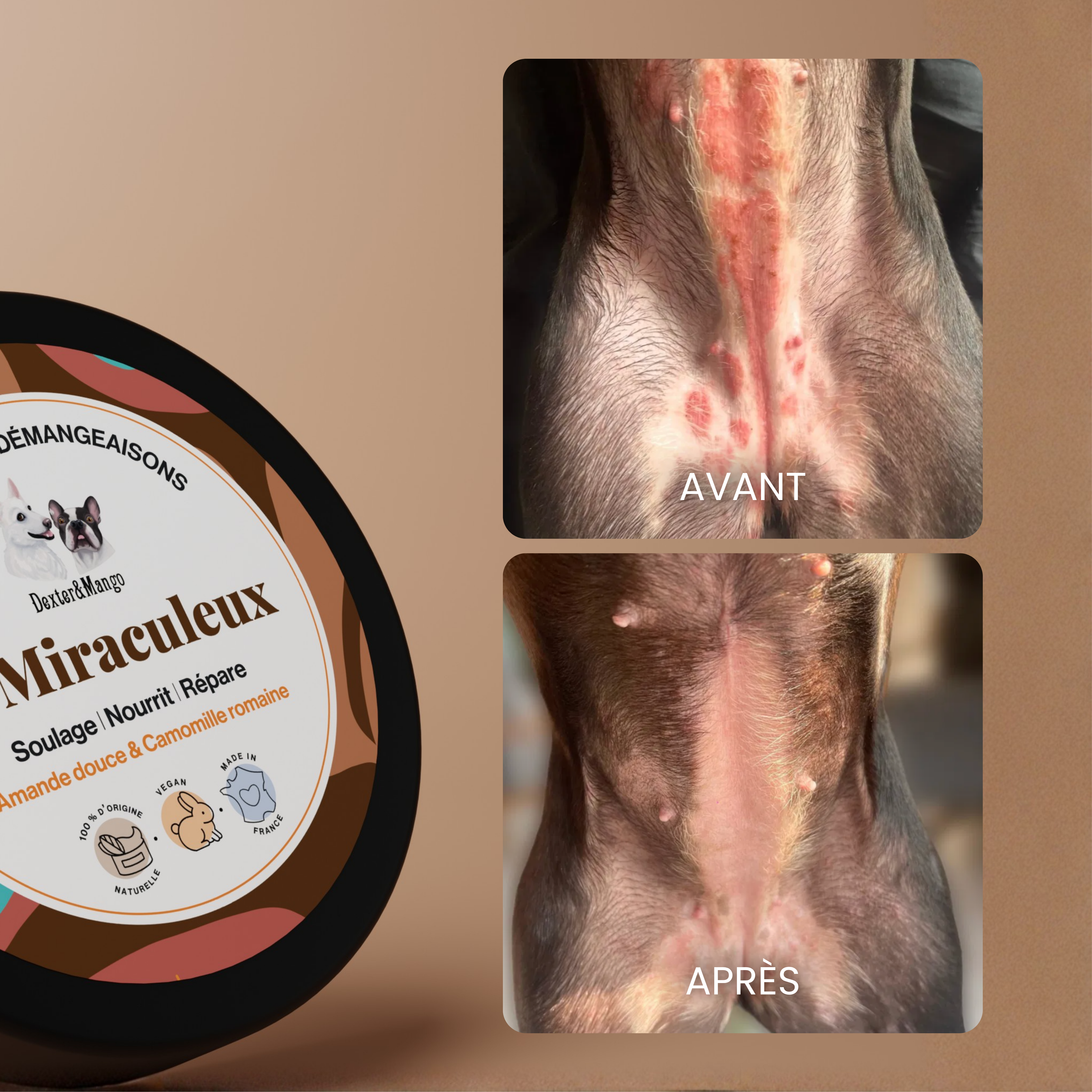 dexter-mango-le-miraculeux-baume-chien-zones-s-ches image 6