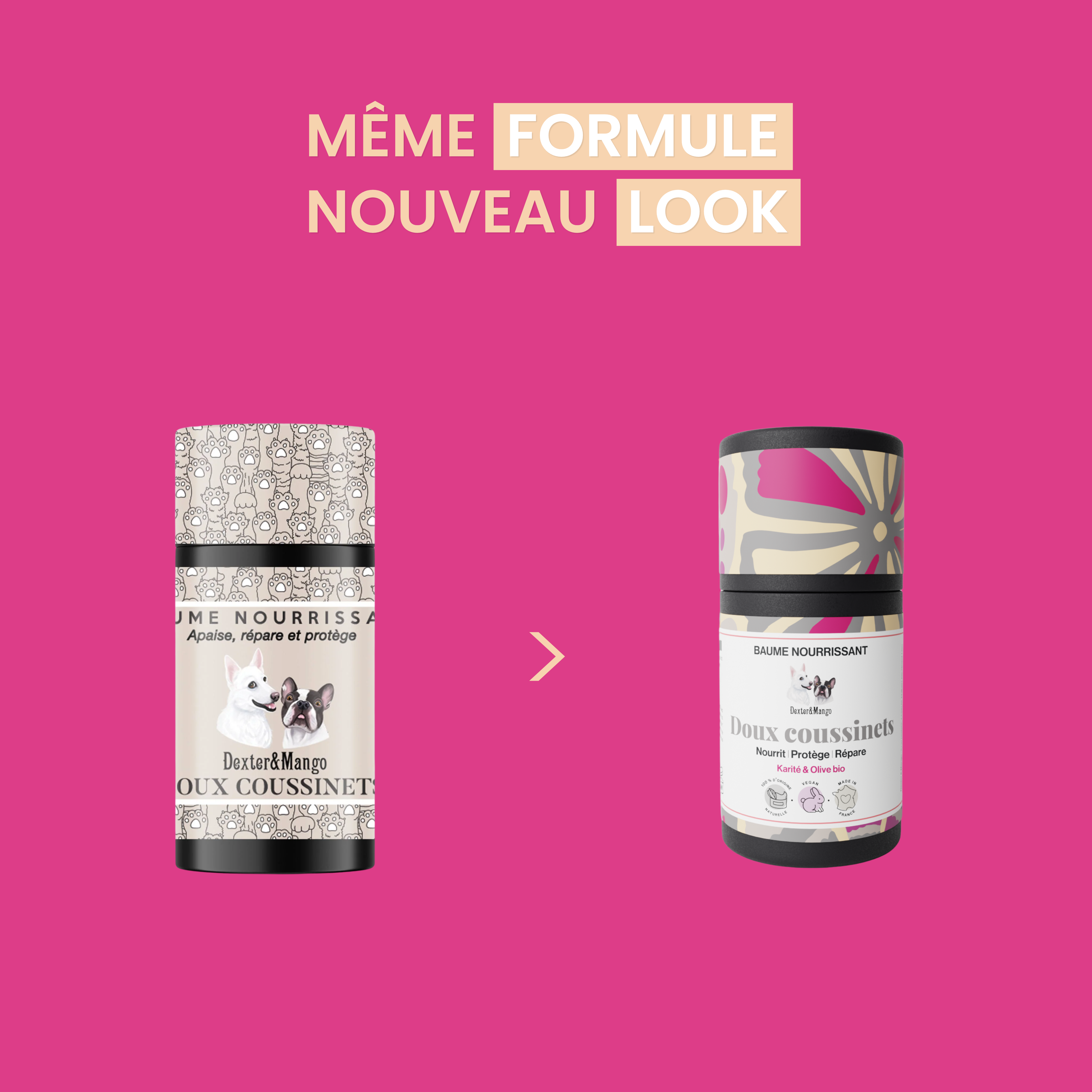 dexter-mango-doux-coussinets-baume-stick-pattes-s-ches image 7