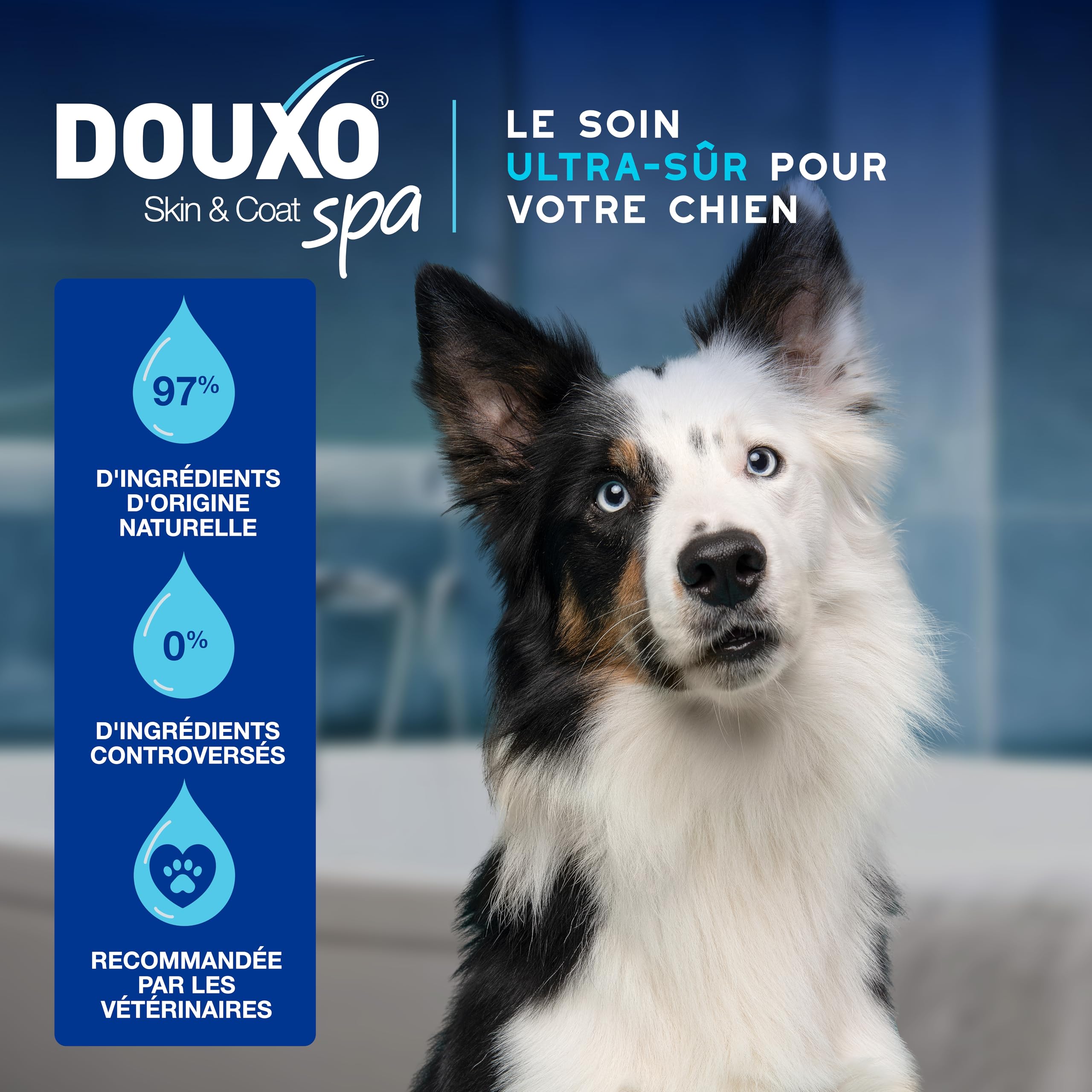 douxo-spa-skin-coat-mousse-sans-rin-age-chien image 4