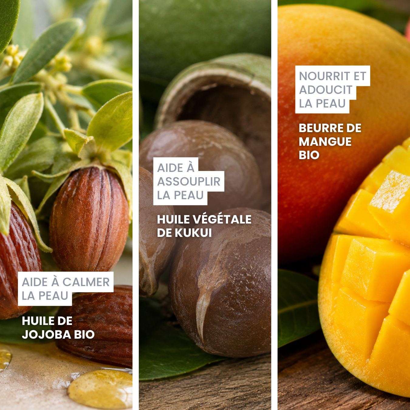 dexter-mango-belle-truffe-baume-stick-truffe-s-che image 3