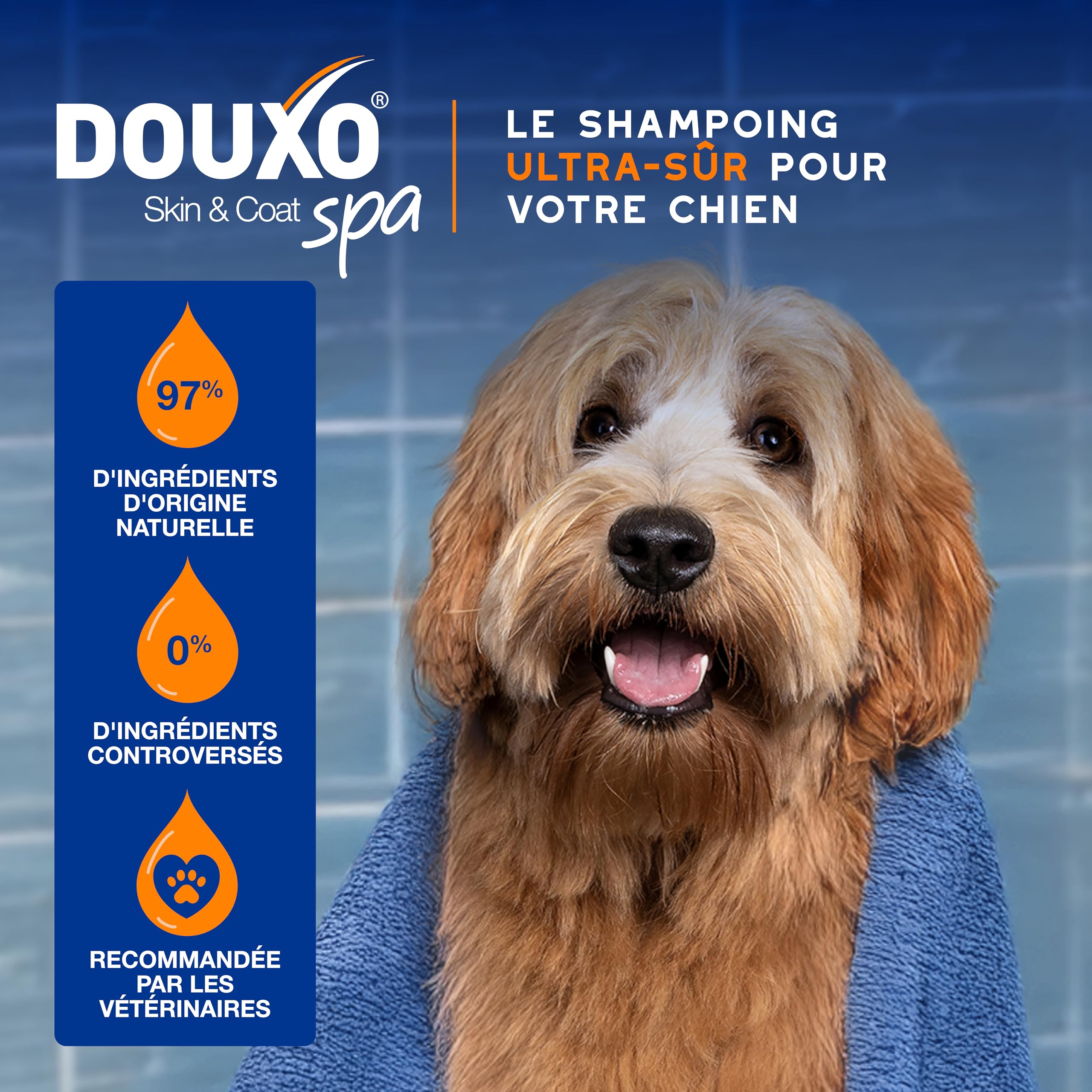 douxo-spa-skin-coat-spa-shampoing-chien-2-en-1-amande-douce image 4