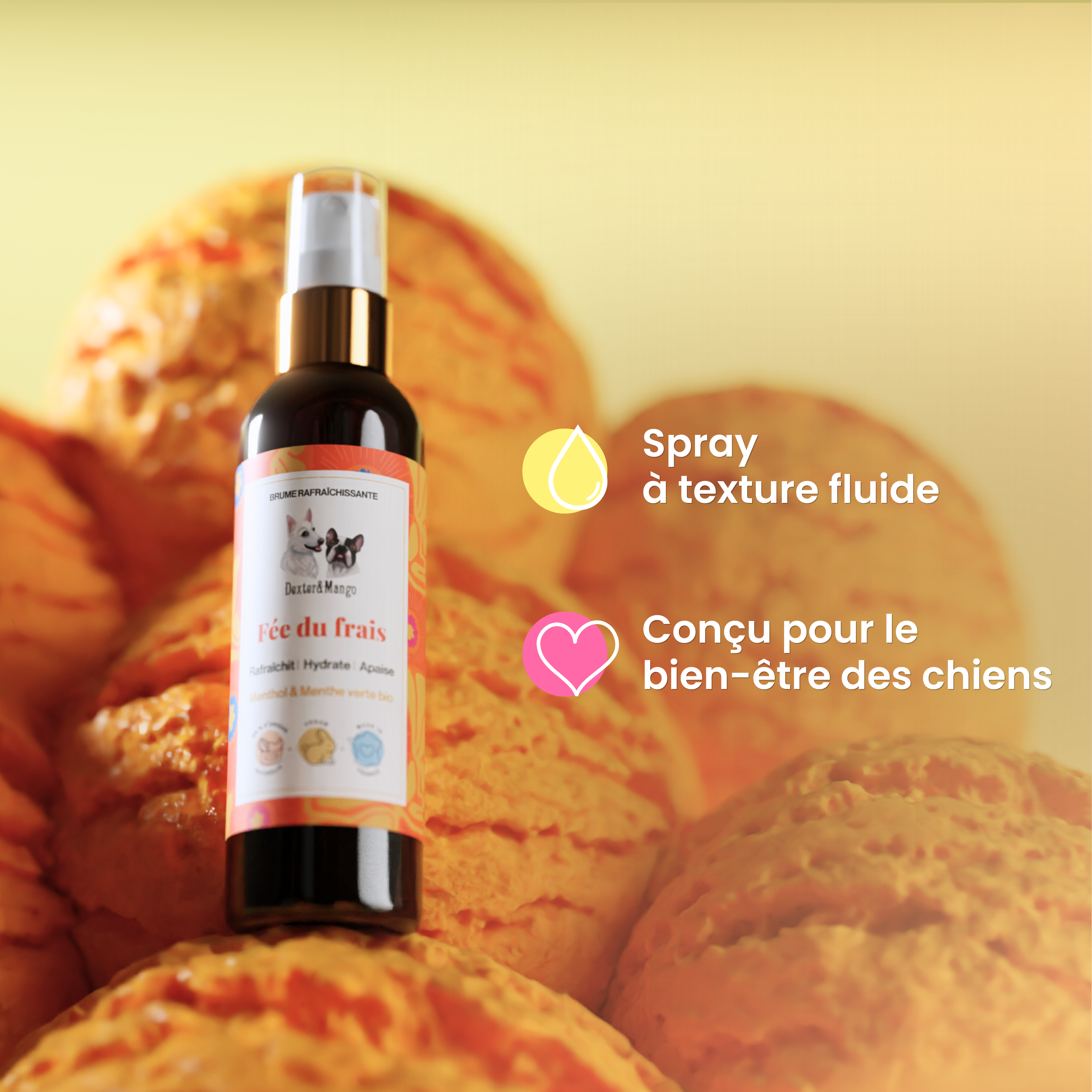 dexter-mango-f-e-du-frais-brume-rafra-chissante-chien image 4