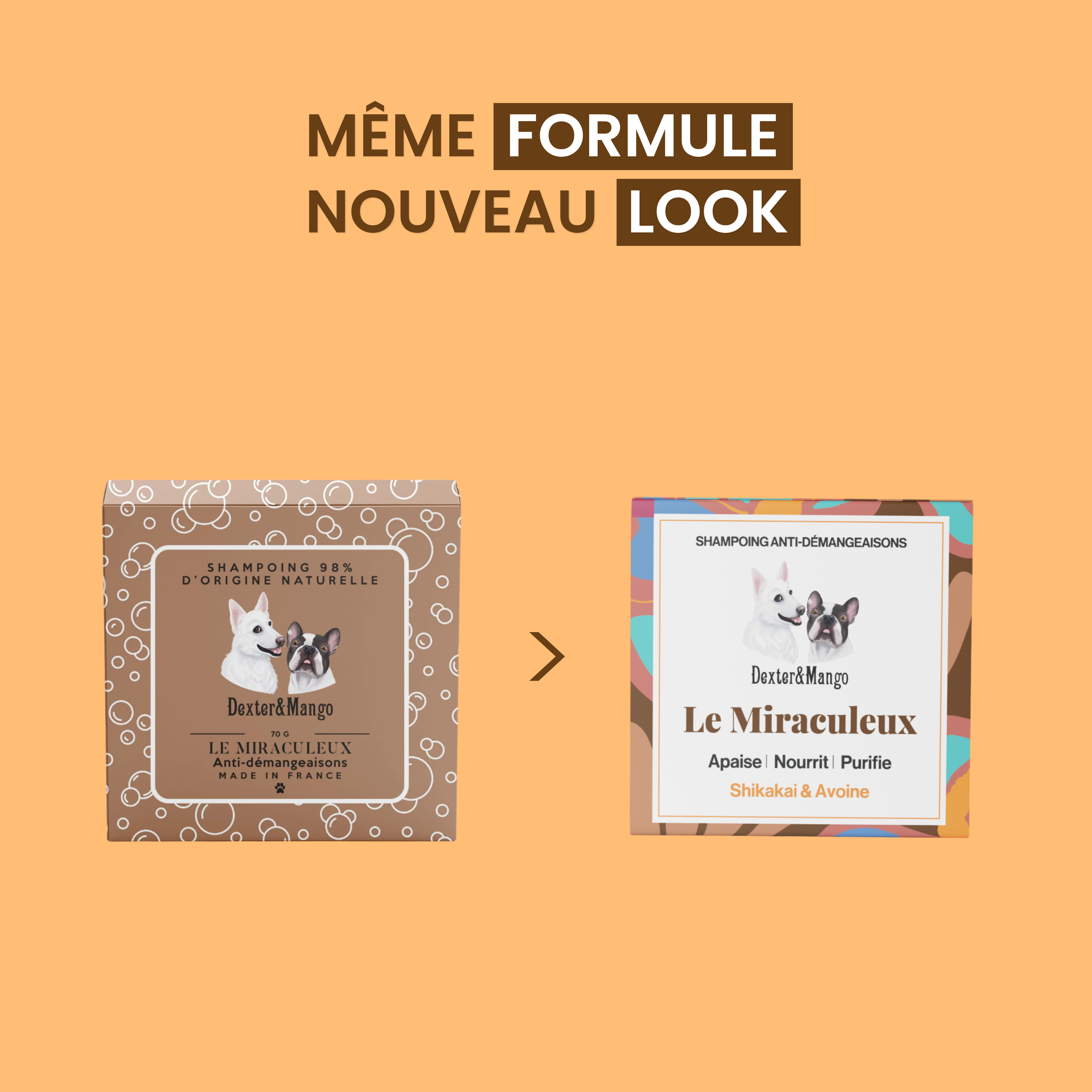 dexter-mango-le-miraculeux-shampoing-solide-chien-peaux-sensibles image 7
