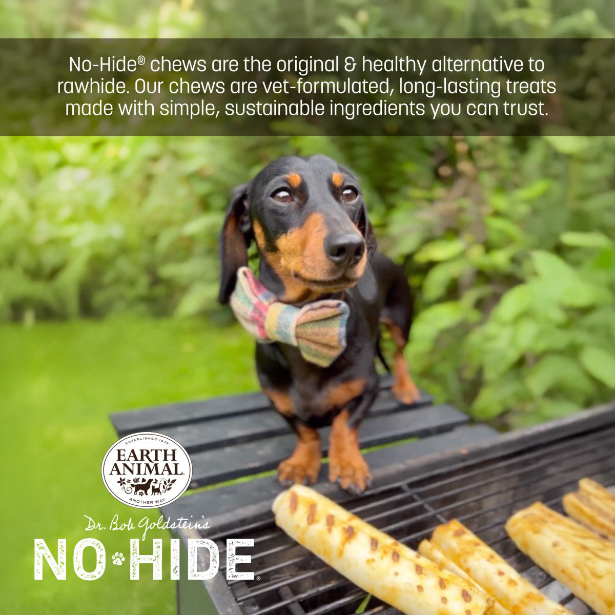 earth-animal-no-hide-bacon-cheeseburger-rolls-friandise-chien-s image 5