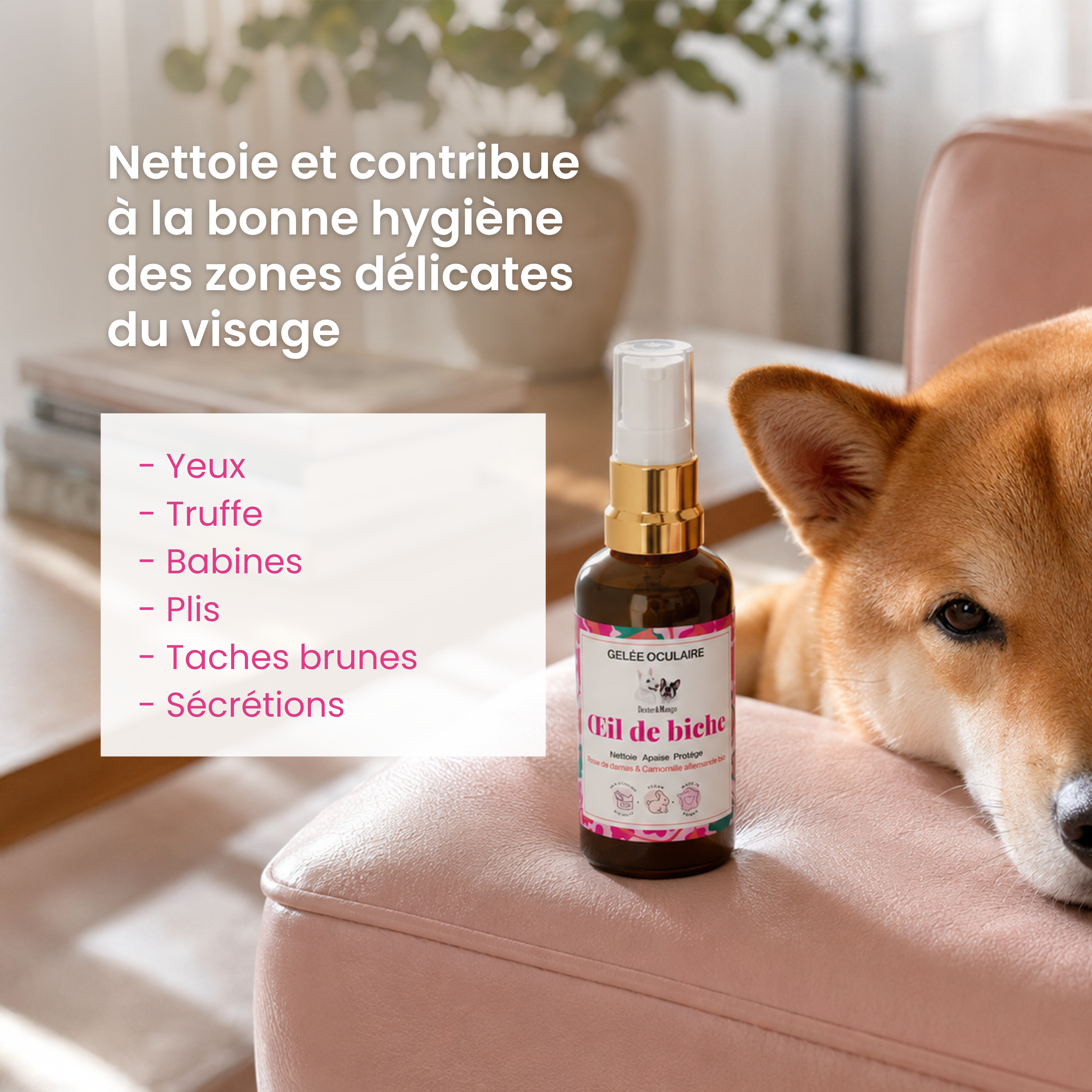 dexter-mango-il-de-biche-gel-e-oculaire-chien-hydrolats-bio image 2
