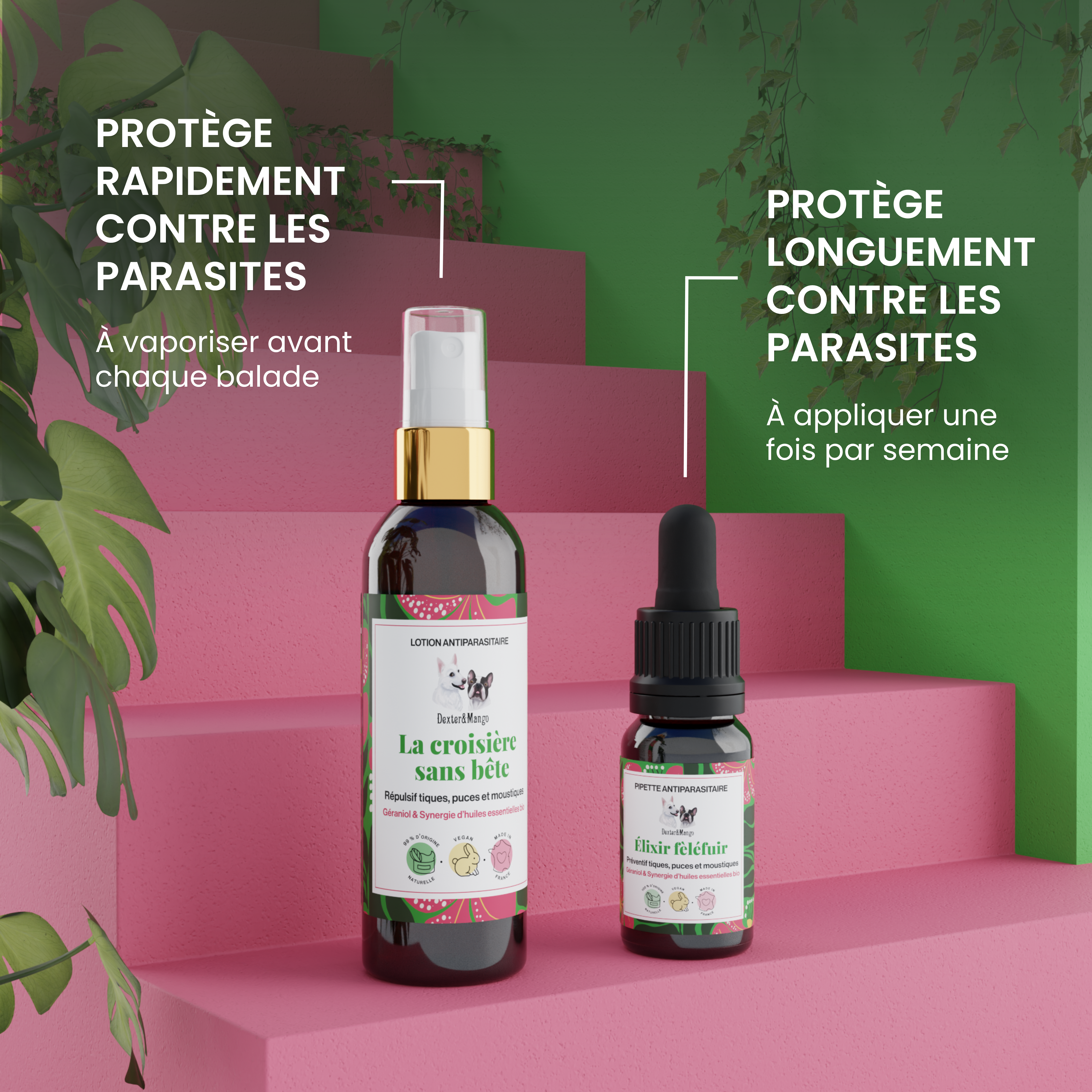 dexter-mango-duo-antiparasitaire-chien-lotion-pipette-naturel image 2