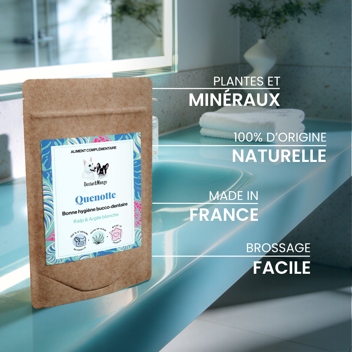 dexter-mango-quenotte-compl-ment-dentaire-chien-chat image 5