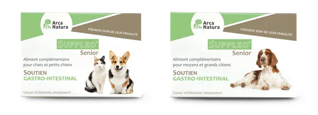 arcanatura-soutien-gastro-suppleo-senior-compl-ment-chien-senior image 1
