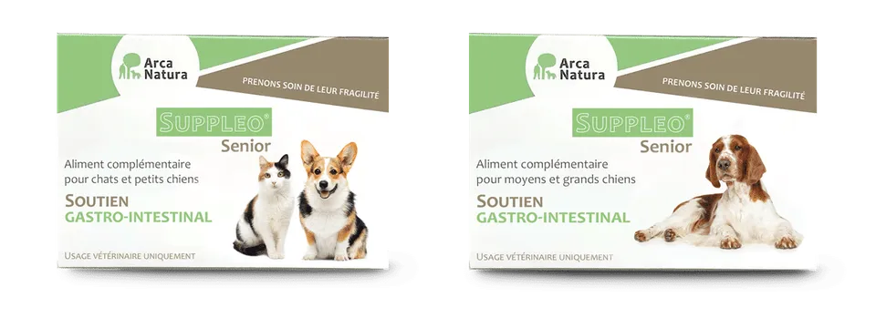 arcanatura-soutien-gastro-suppleo-senior-compl-ment-chien-senior image 1