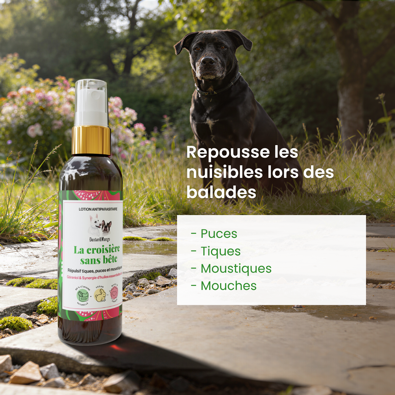 dexter-mango-la-croisi-re-sans-b-te-lotion-chien-anti-puces-g-raniol image 2