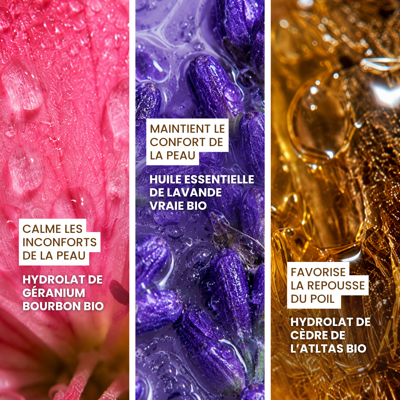 dexter-mango-eau-miraculeuse-lotion-confort-cutan-chien image 3