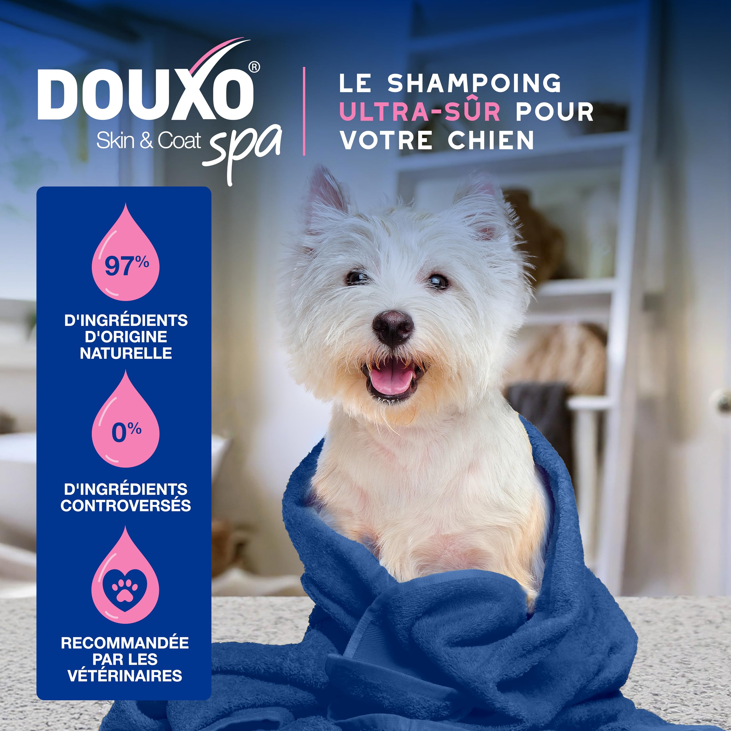 douxo-skin-coat-spa-shampoing-chien-anti-d-mangeaisons-fumeterre image 4
