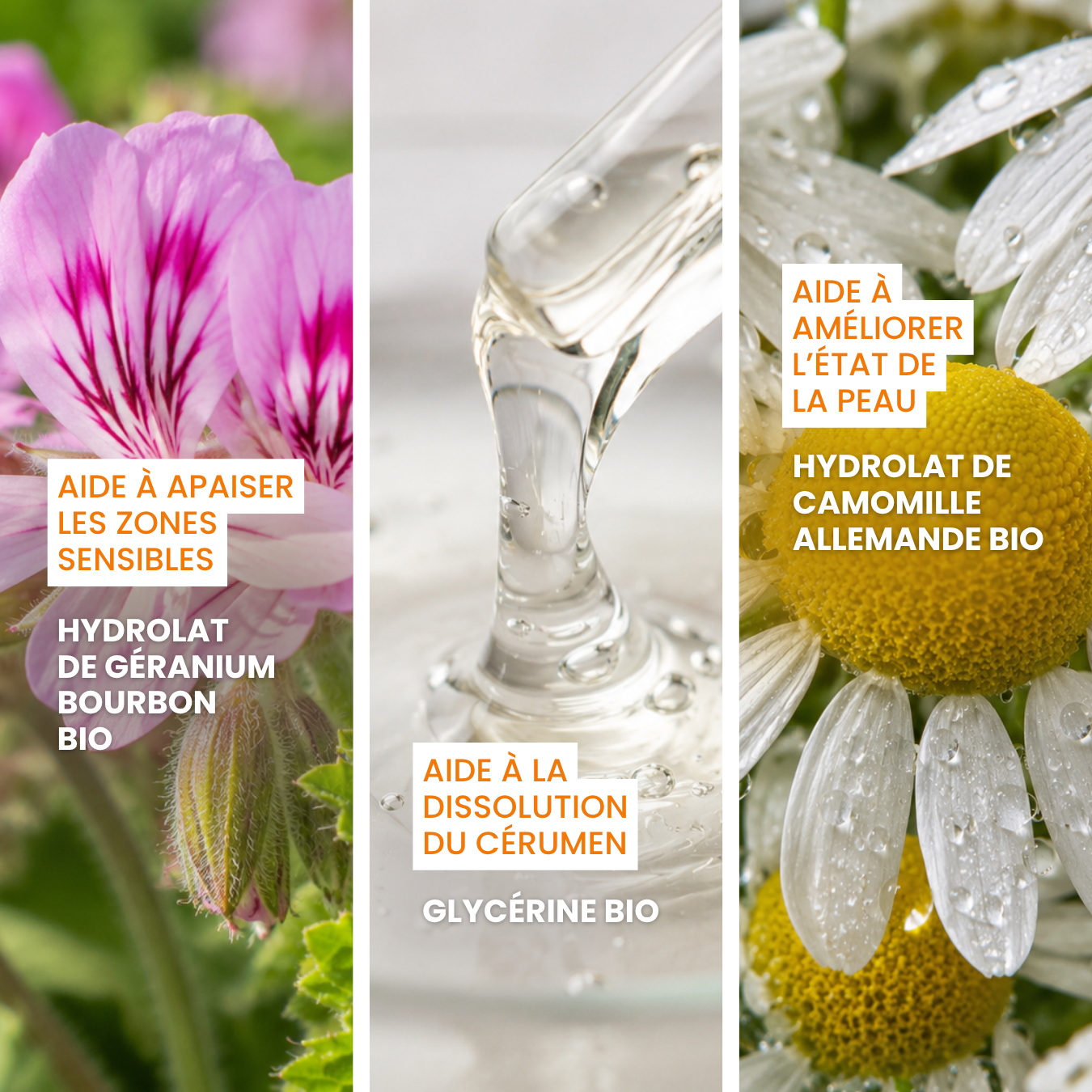 dexter-mango-pot-de-miel-gel-e-oreille-chien-c-rumen-naturel image 3
