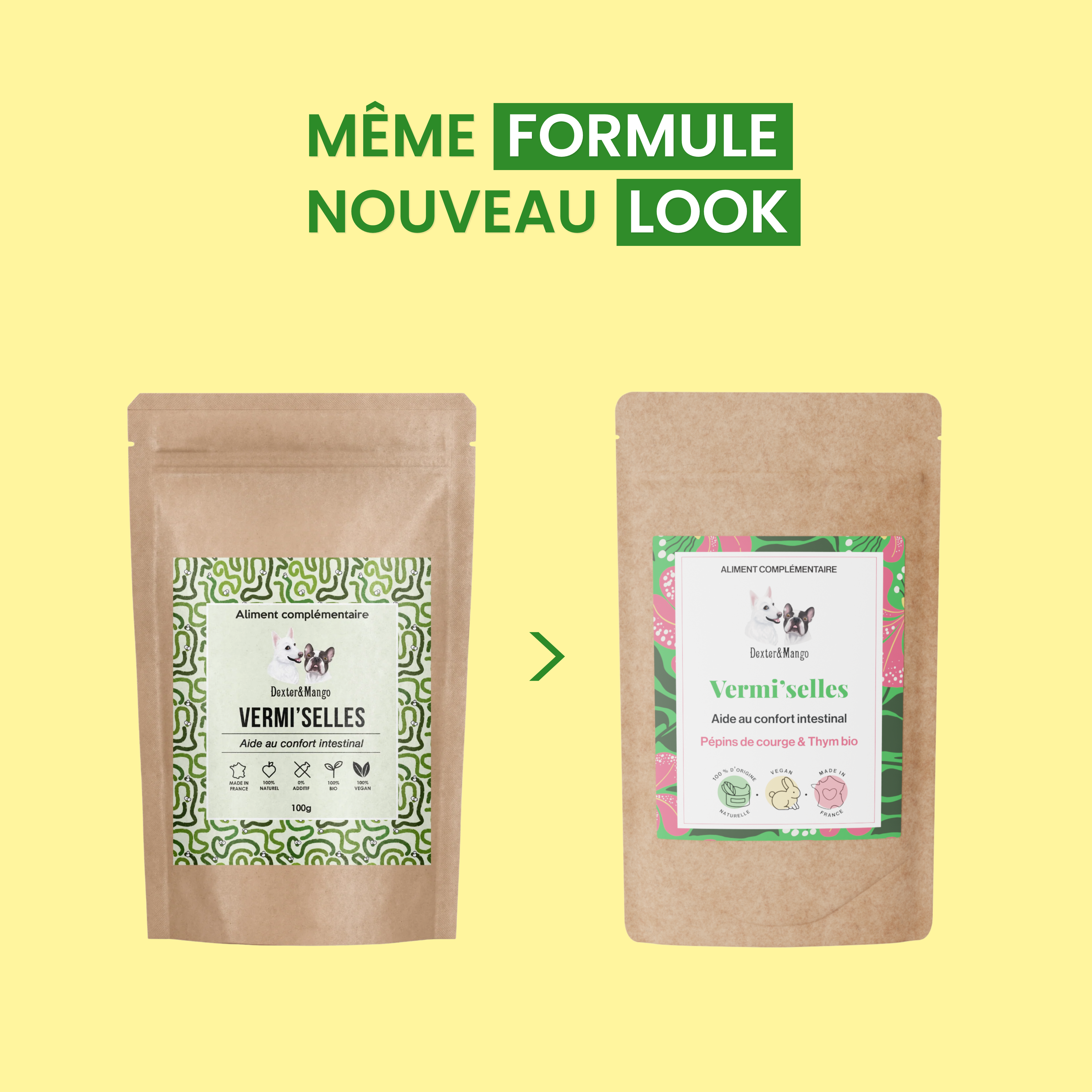 dexter-mango-vermi-selles-compl-ment-digestif-chien-chat-ail-thym image 6