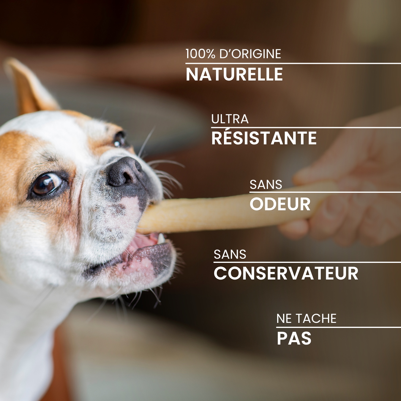 dexter-mango-barre-fromag-re-friandise-mastication-chien-taille-m image 3