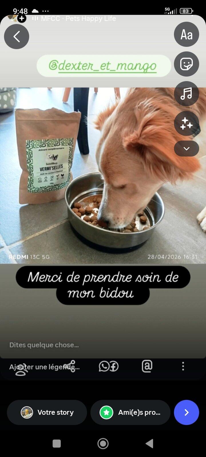 Transit régulier
