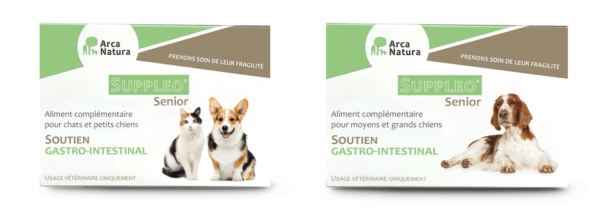 arcanatura-soutien-gastro-suppleo-senior-compl-ment-chien-senior image 1